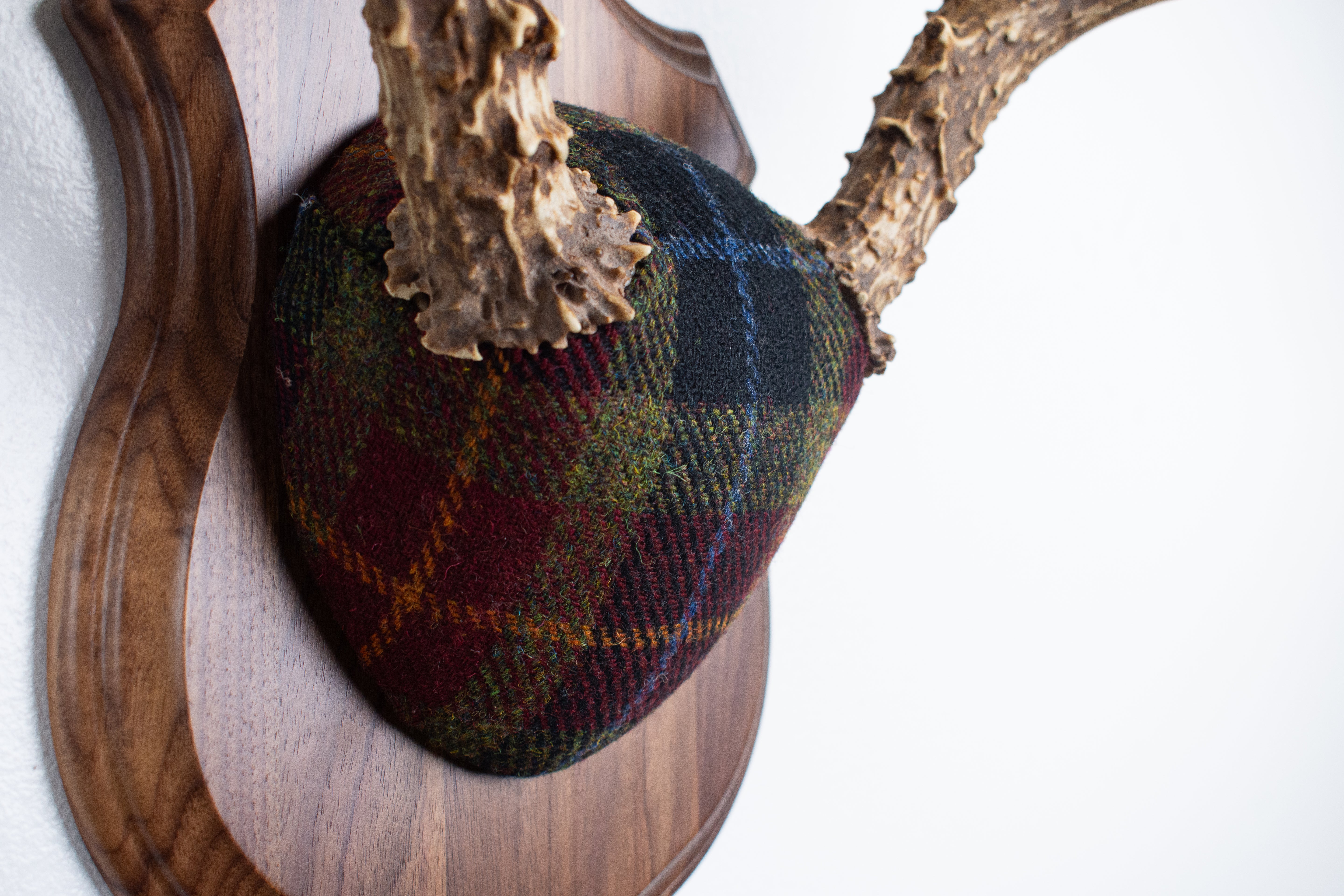 Mule Deer Antler Mount | Green, Red & Black Tartan w/ Gold & Blue overchecks | 41