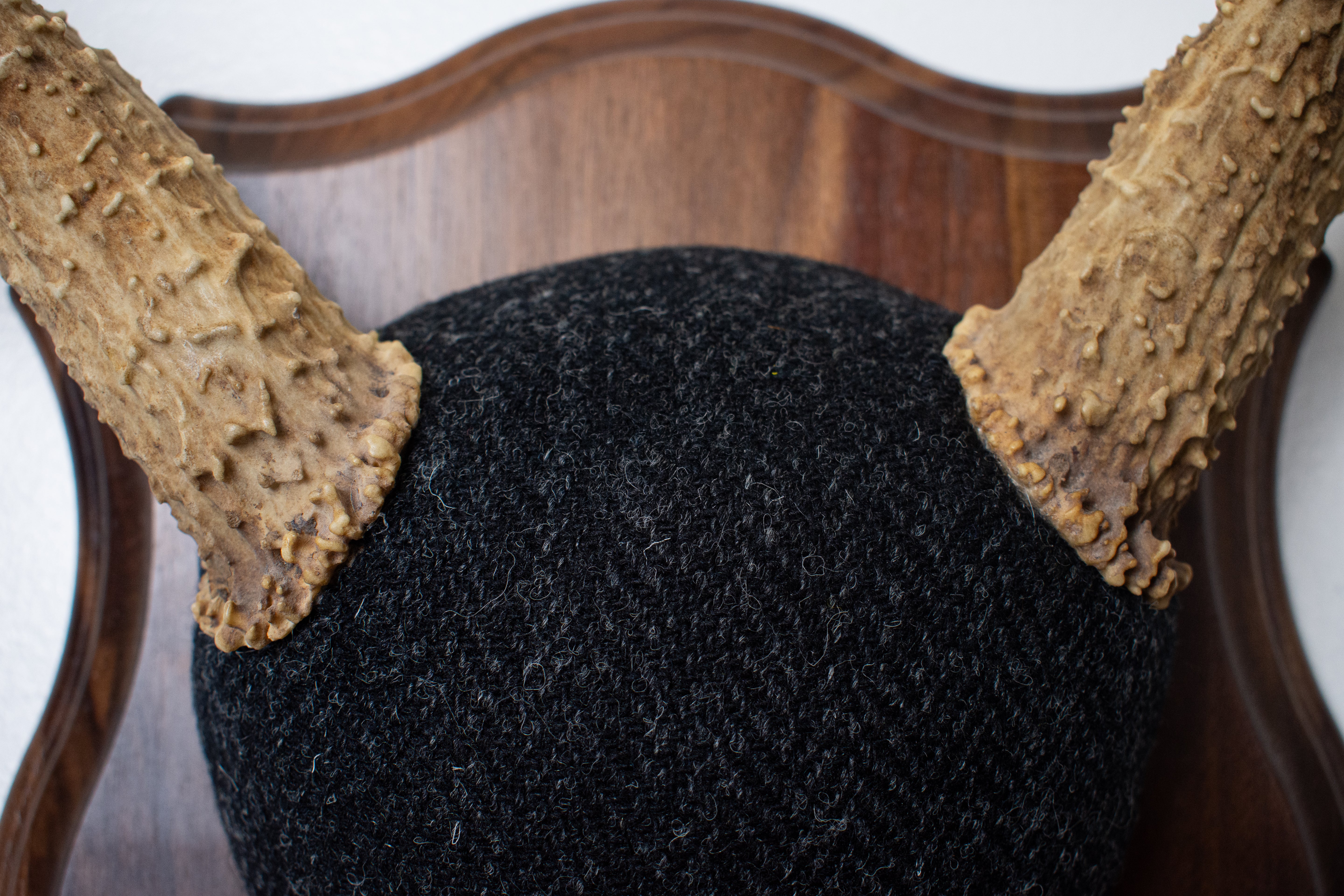 Mule Deer Antler Mount | Black and Charcoal Herringbone | 42