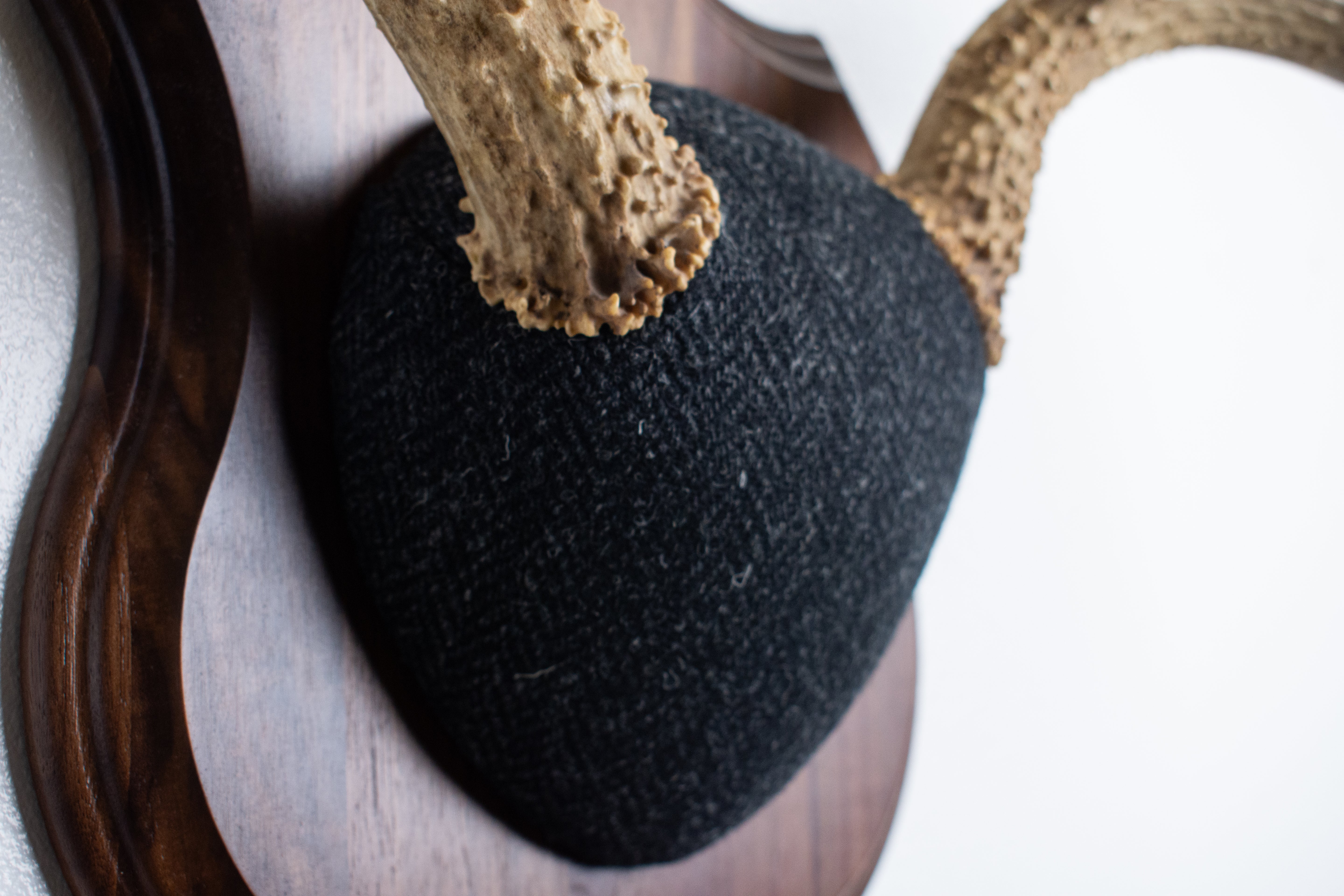 Mule Deer Antler Mount | Black and Charcoal Herringbone | 42