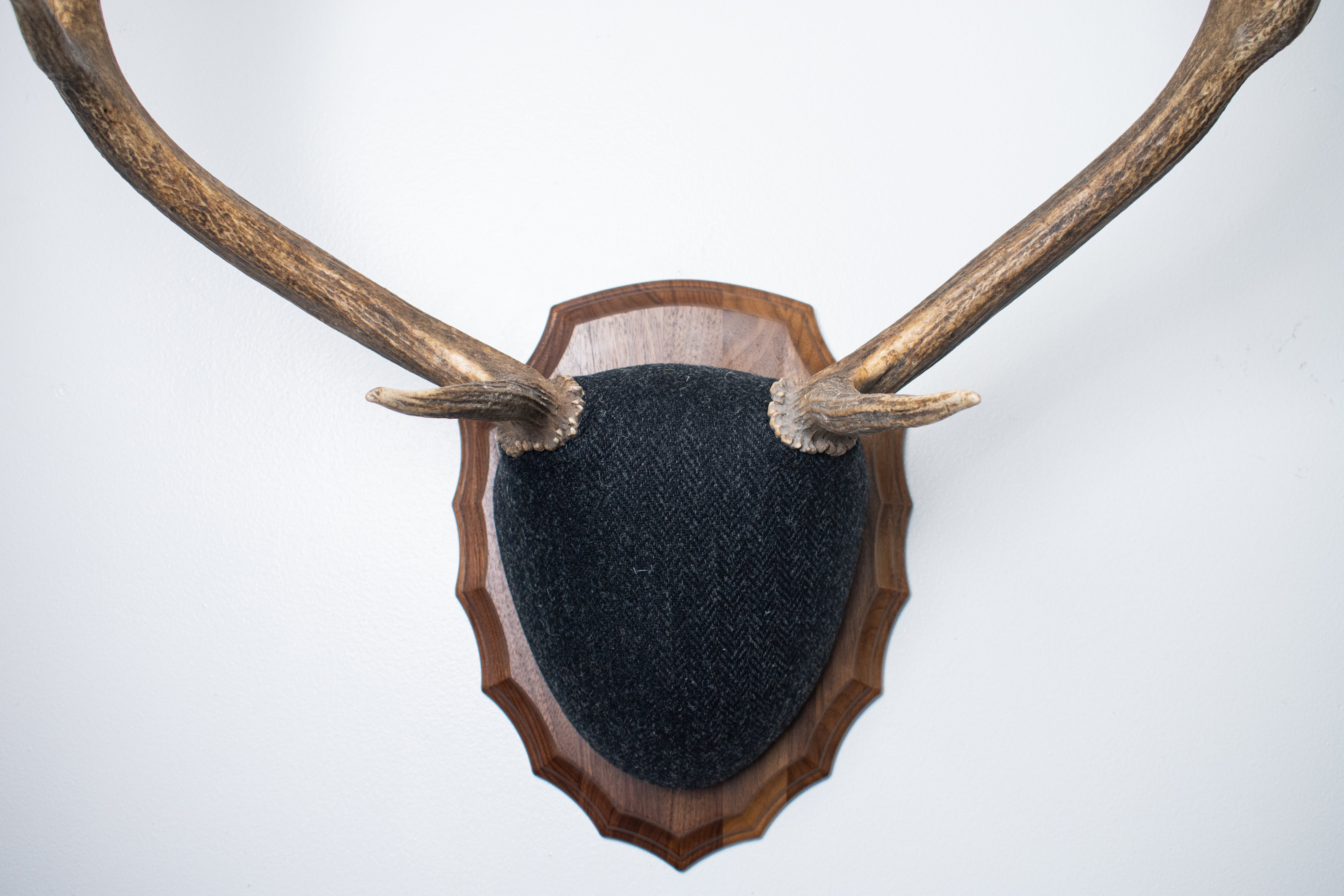 Elk Antler Mount | Black and Charcoal Herringbone | 43