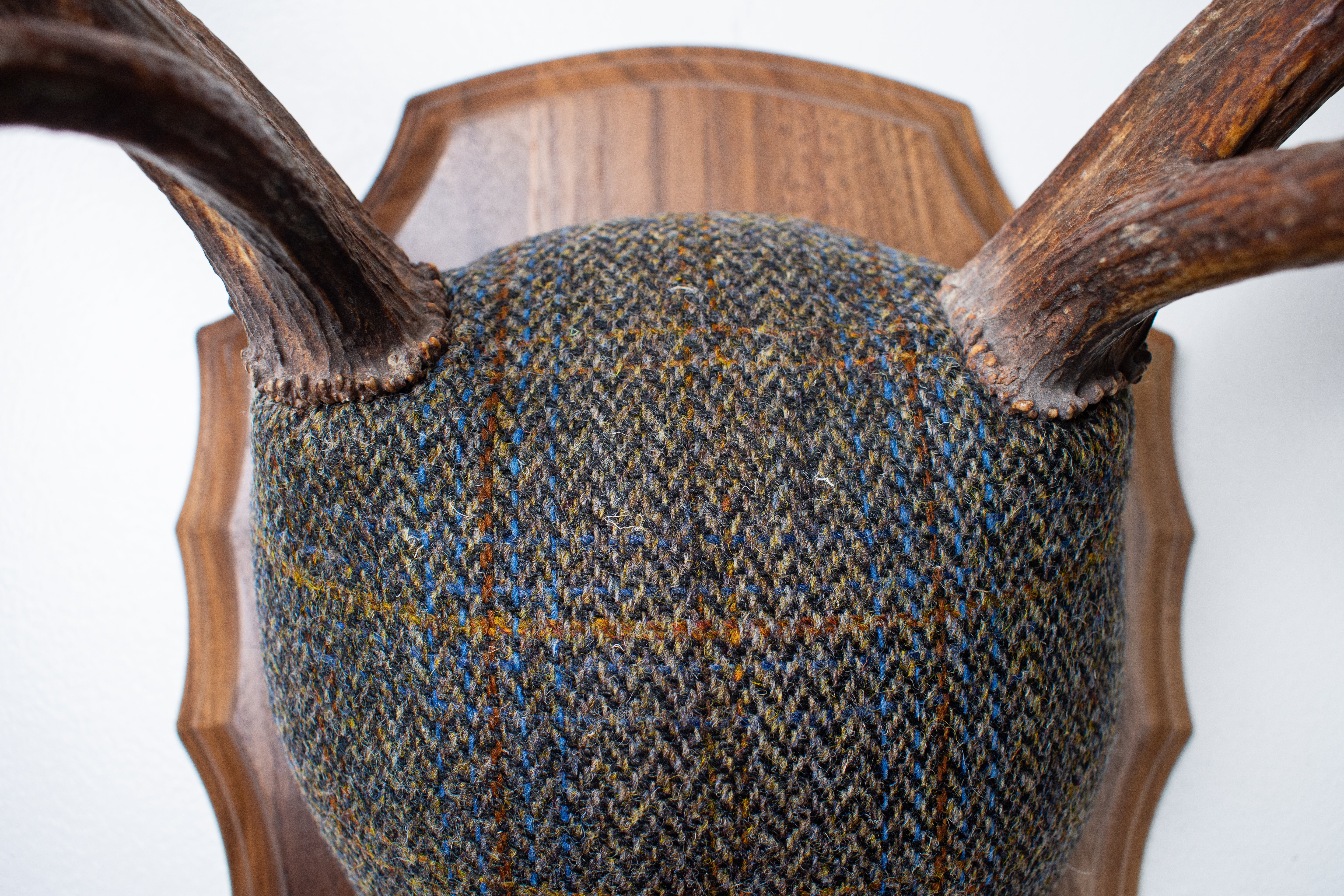 Elk Antler Mount | Green and Blue Herringbone with Rust Overcheck | 44