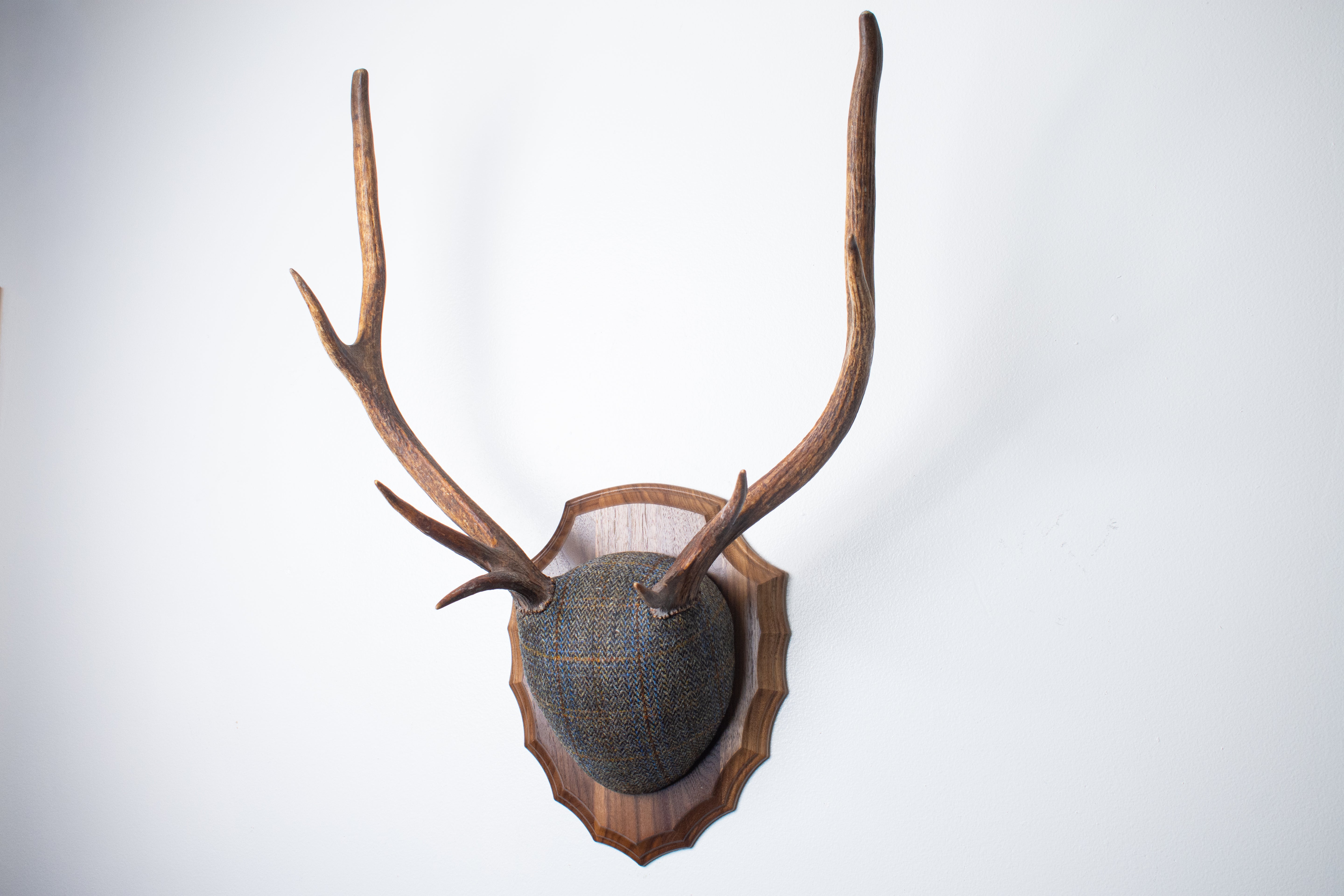 Elk Antler Mount | Green and Blue Herringbone with Rust Overcheck | 44