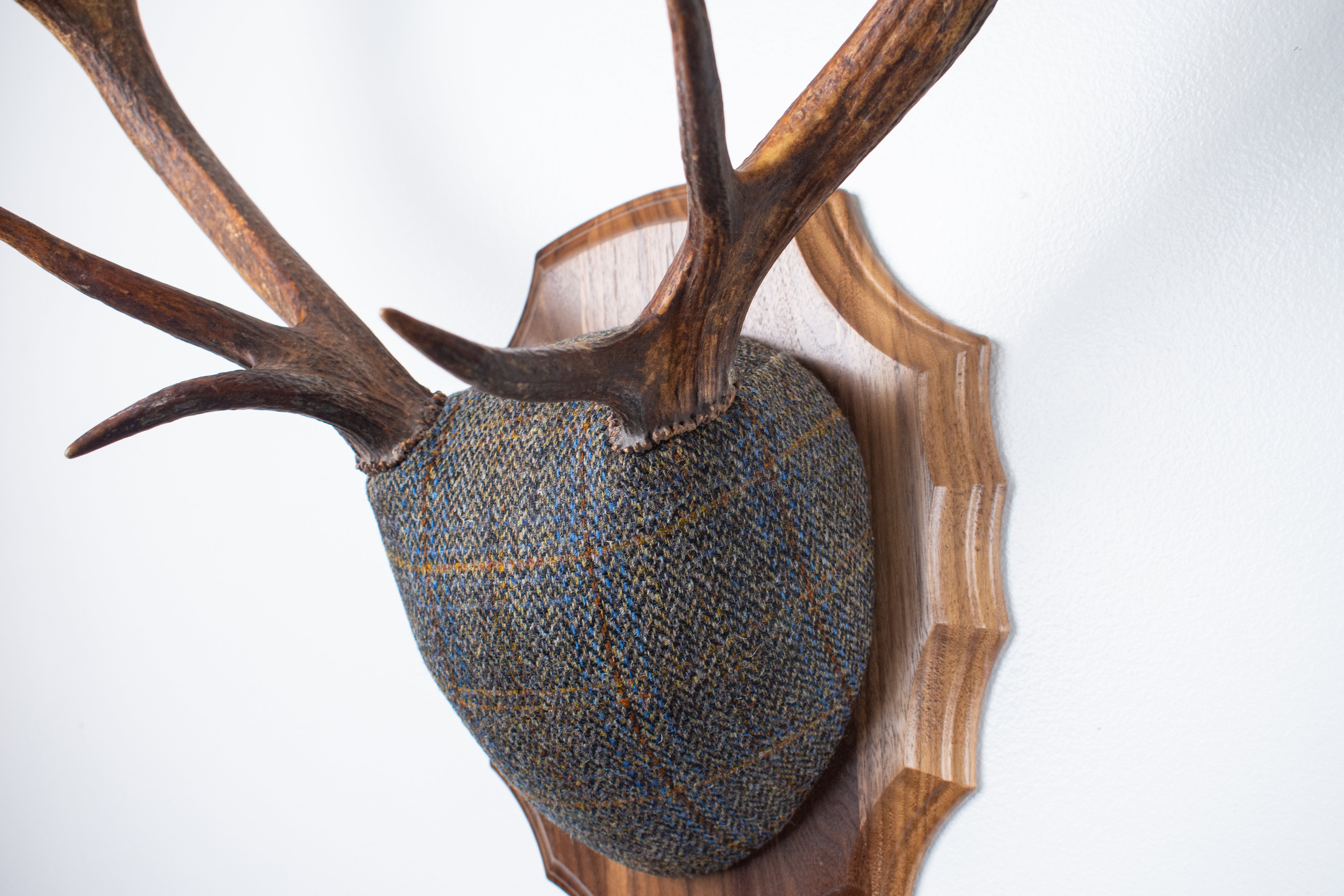 Elk Antler Mount | Green and Blue Herringbone with Rust Overcheck | 44