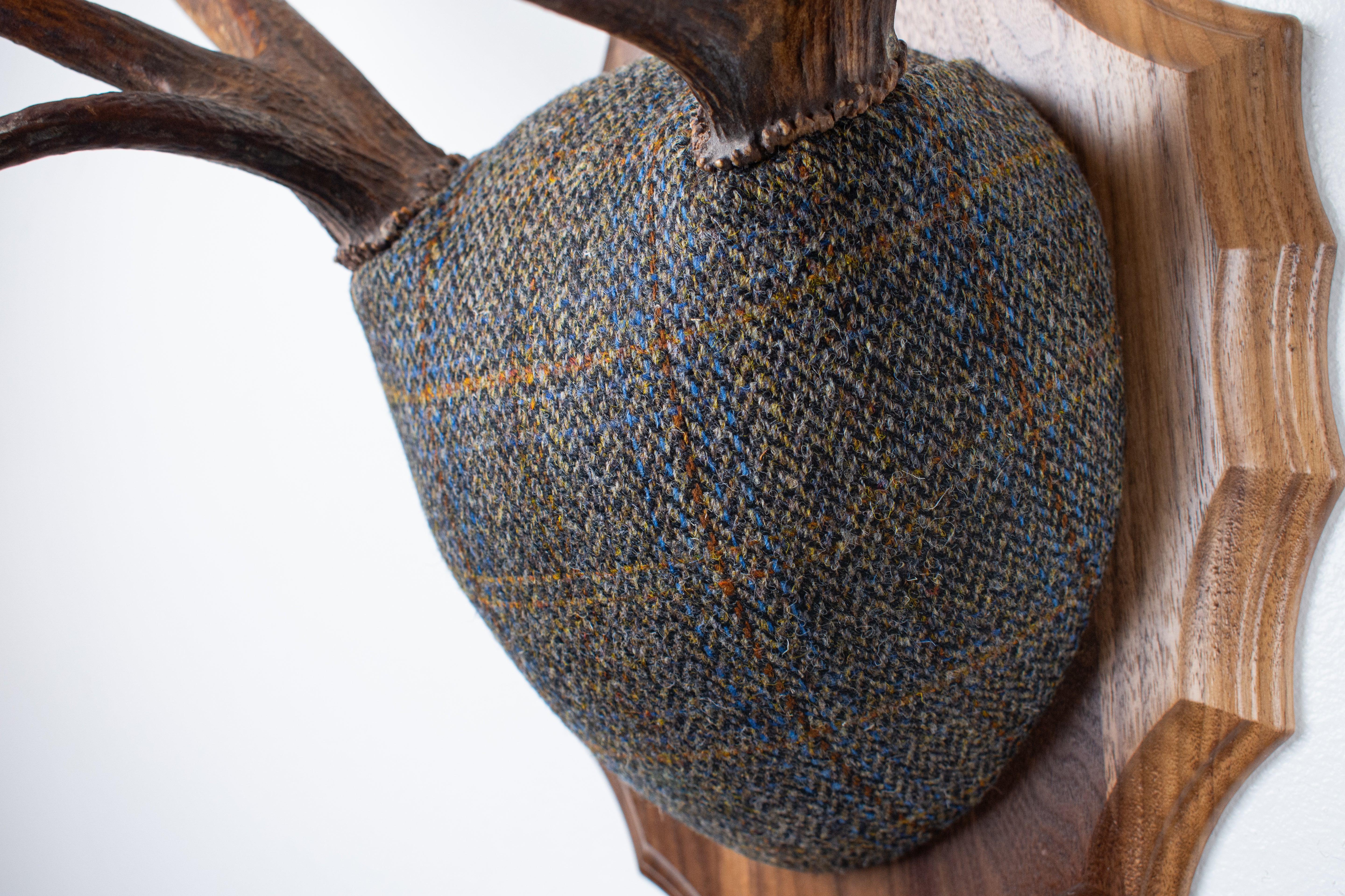 Elk Antler Mount | Green and Blue Herringbone with Rust Overcheck | 44