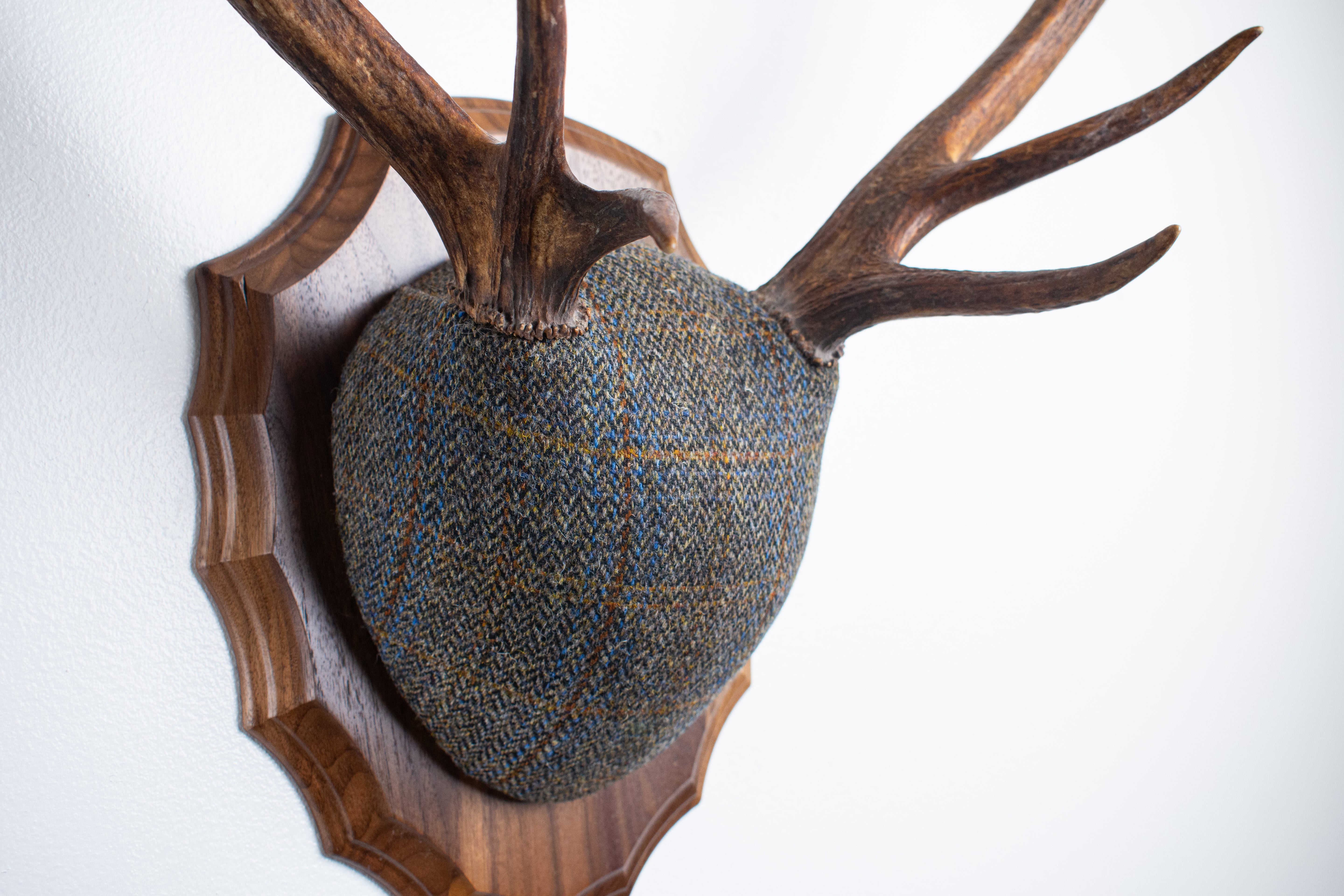 Elk Antler Mount | Green and Blue Herringbone with Rust Overcheck | 44