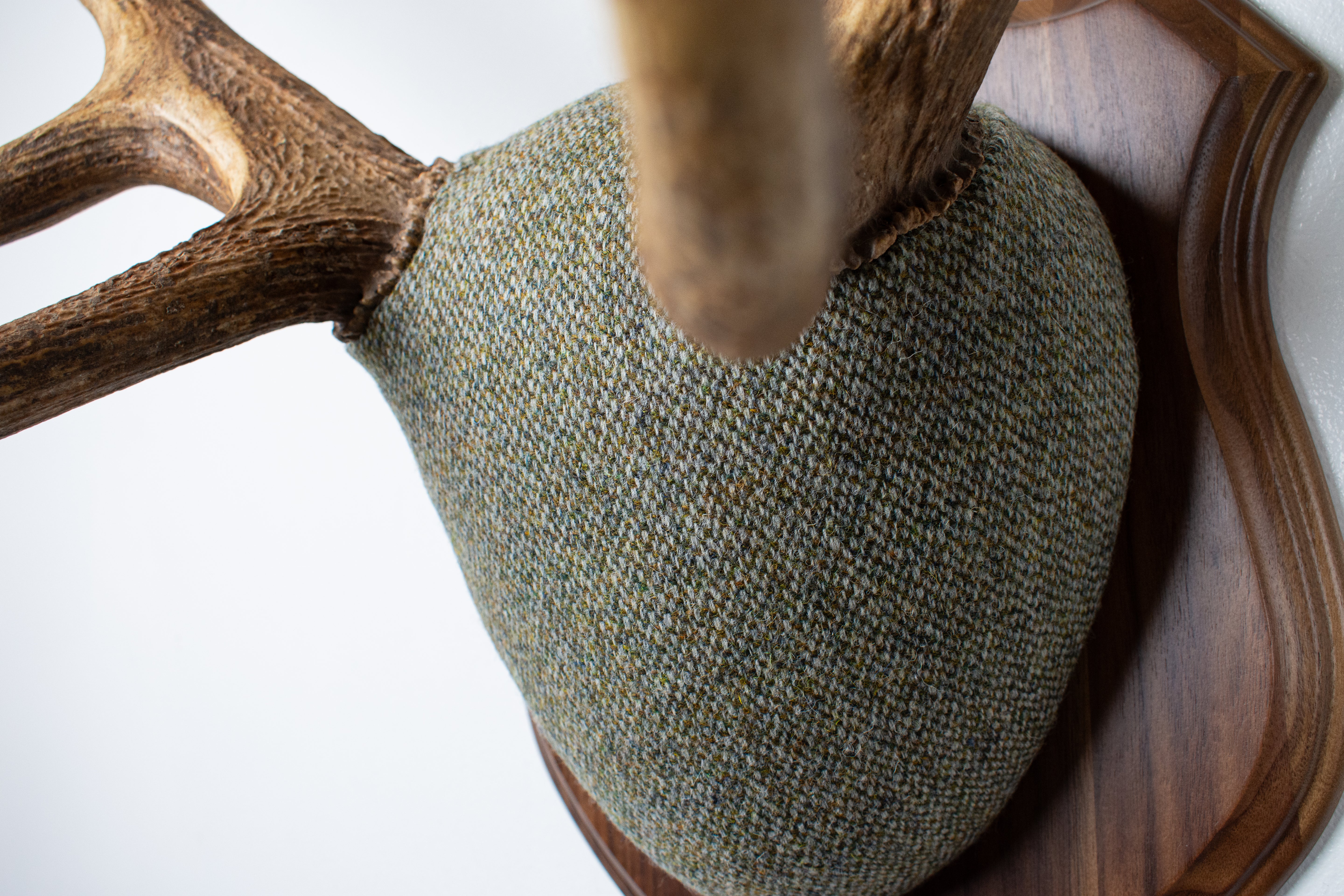 Elk Antler Mount | Green & Beige Barleycorn | 46