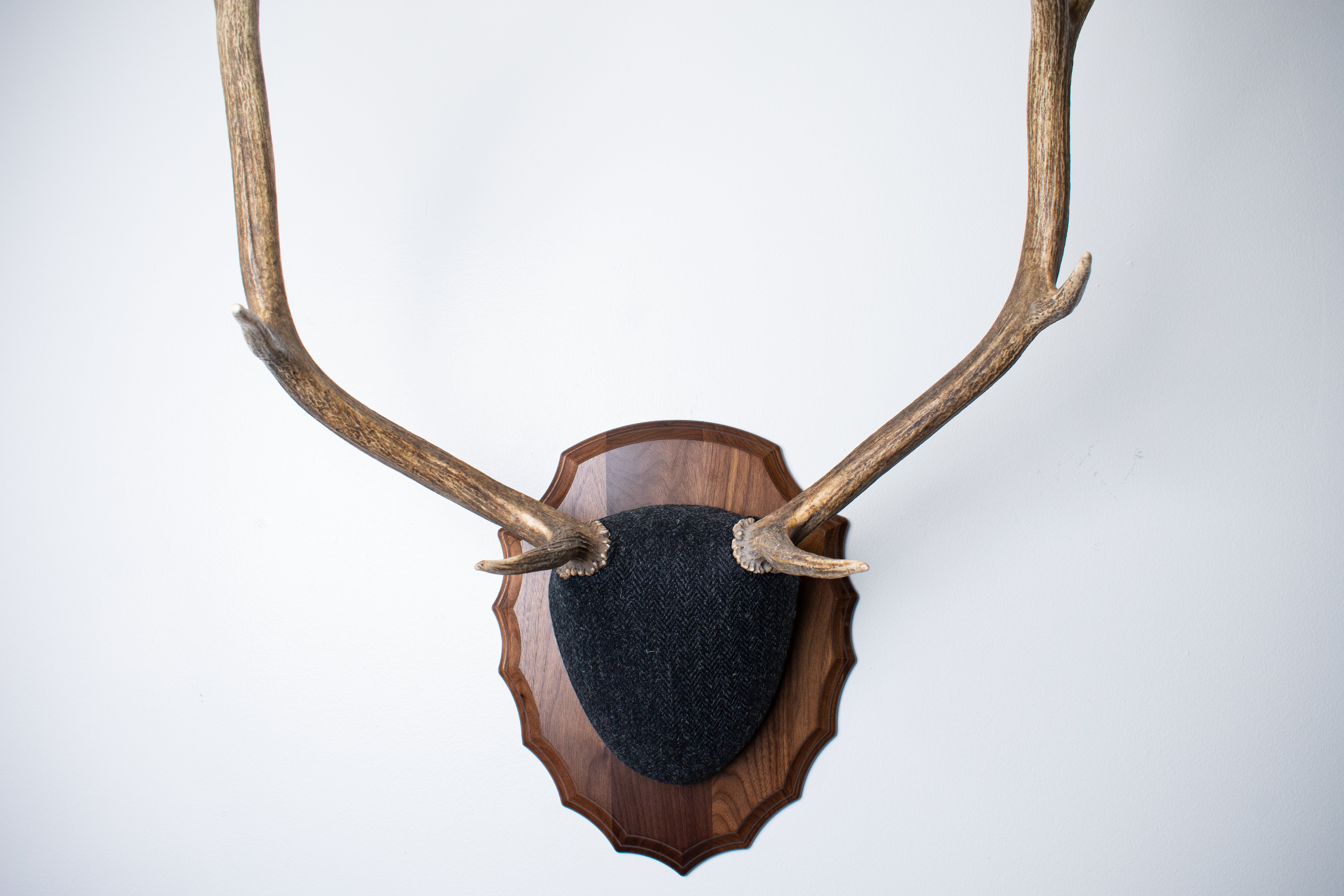 Elk Antler Mount | Black and Charcoal Herringbone | 43