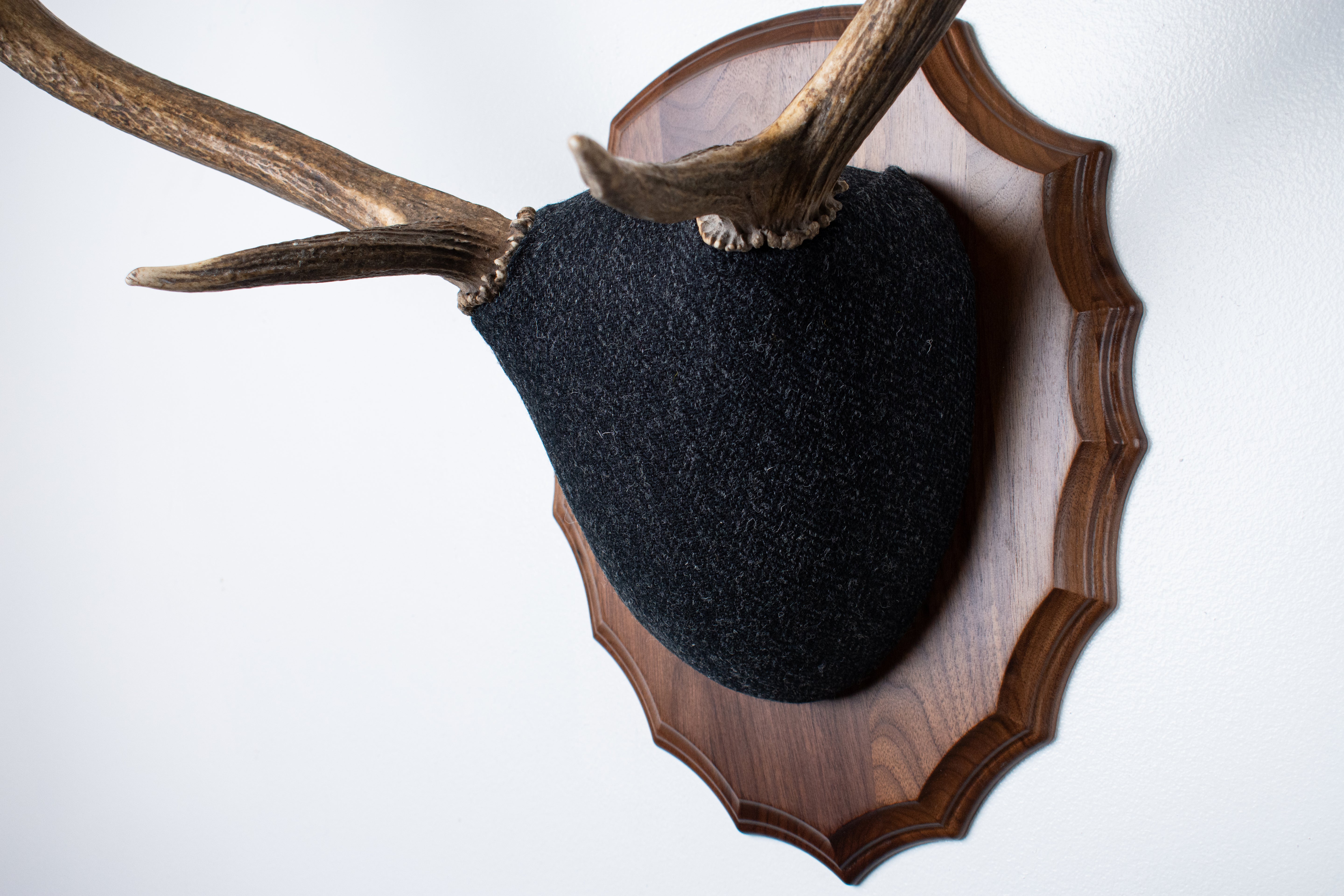 Elk Antler Mount | Black and Charcoal Herringbone | 43