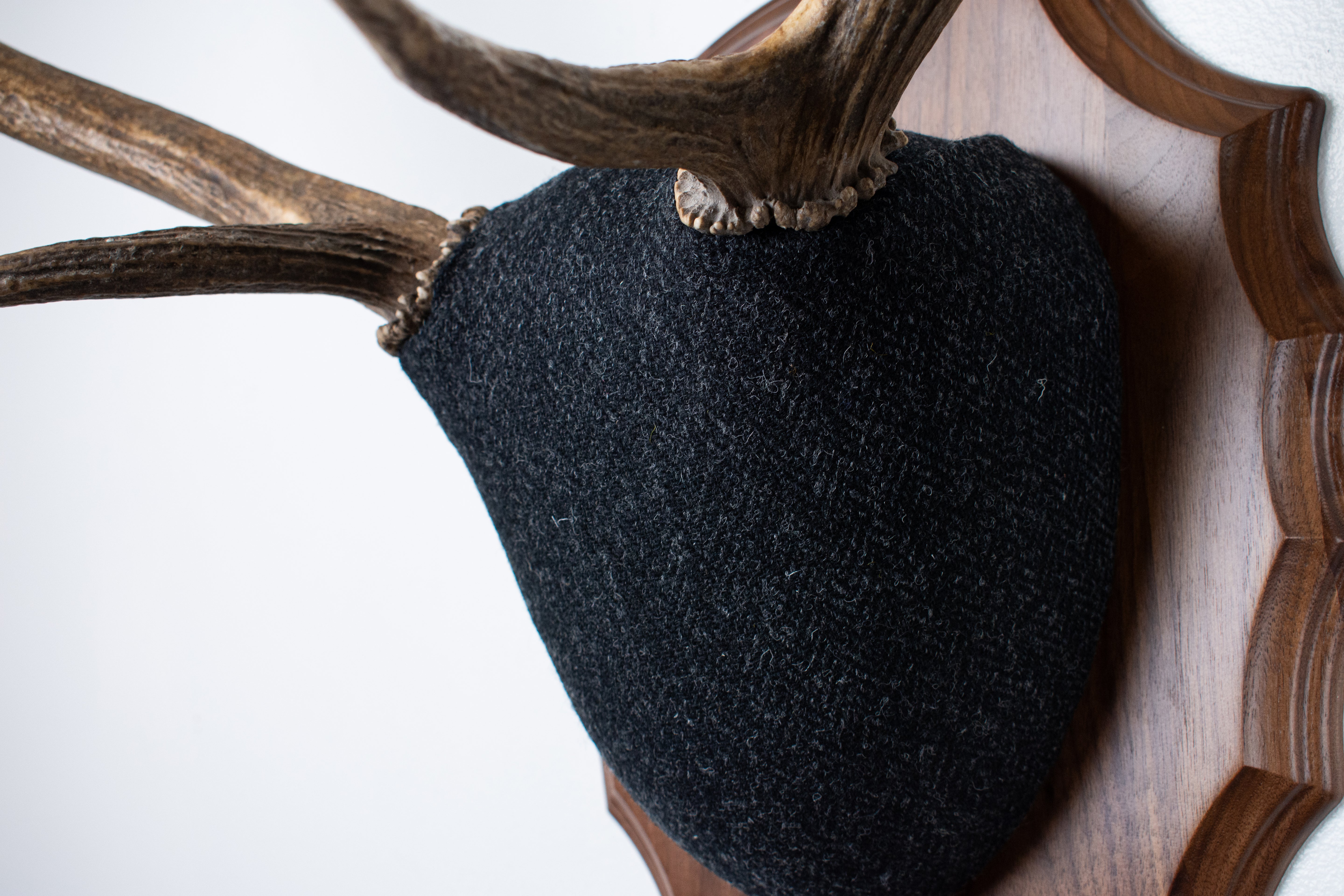 Elk Antler Mount | Black and Charcoal Herringbone | 43