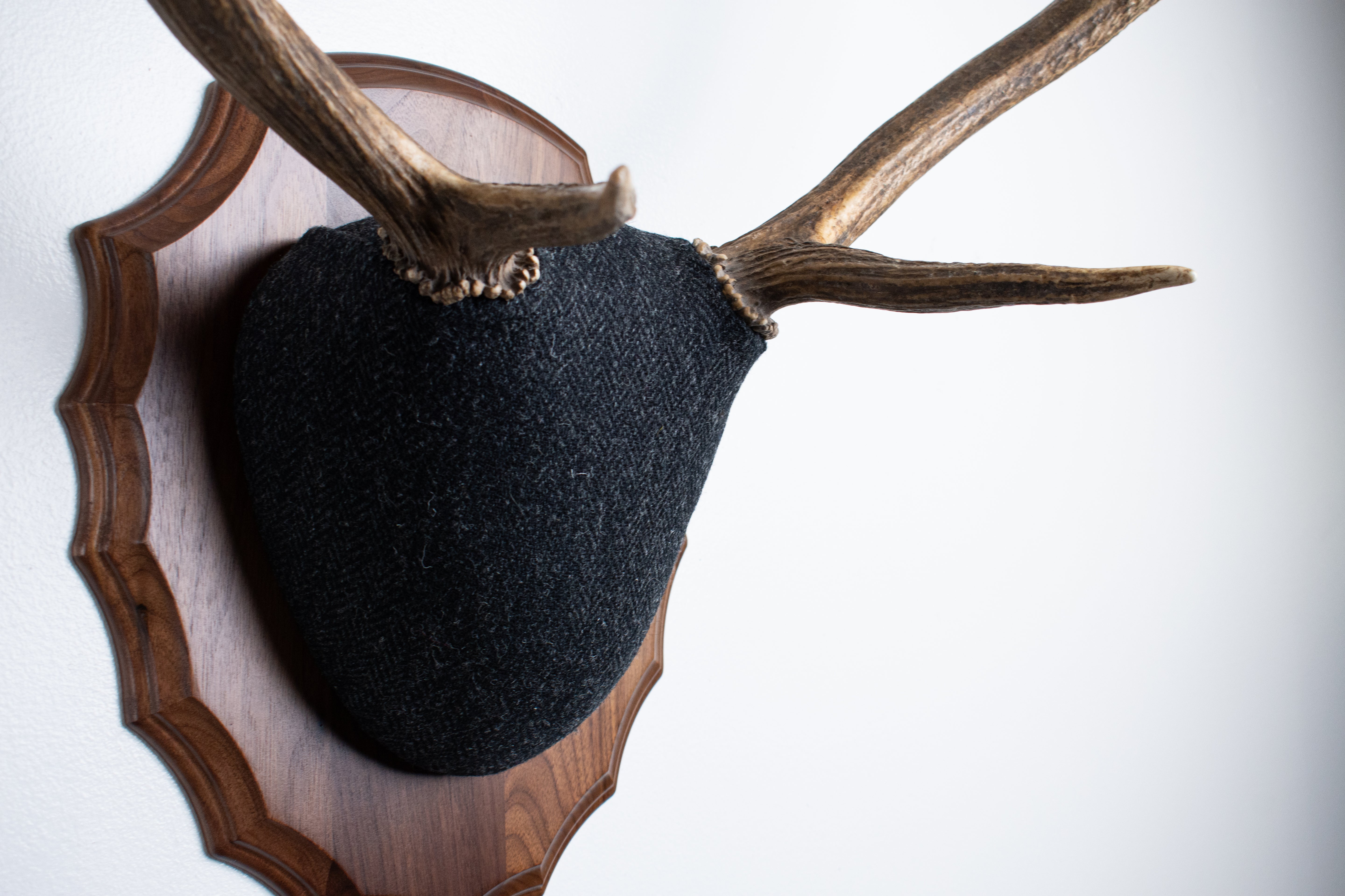 Elk Antler Mount | Black and Charcoal Herringbone | 43