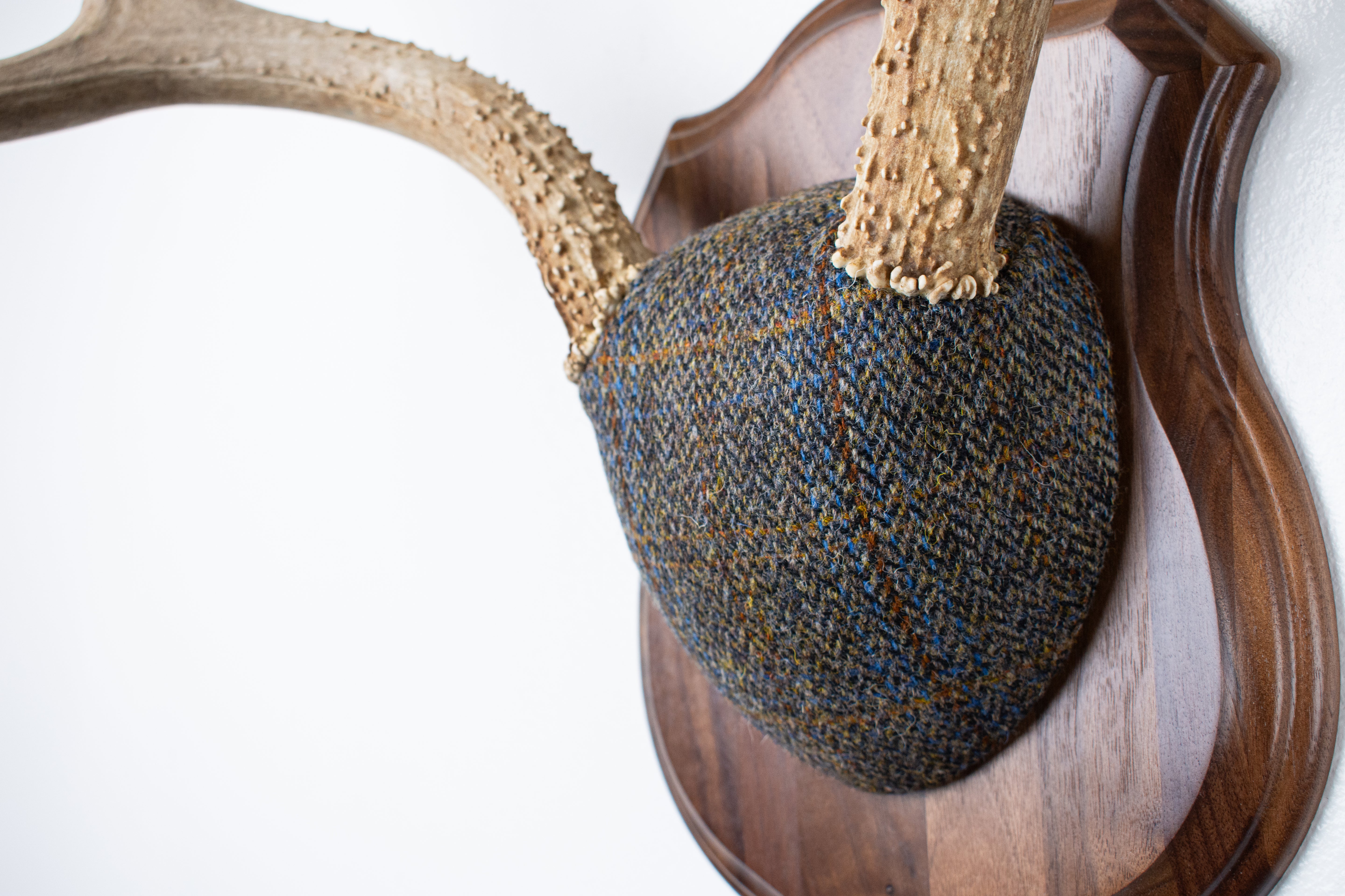 Mule Deer Antler Mount | Green and Blue Herringbone with Rust Overcheck | 50