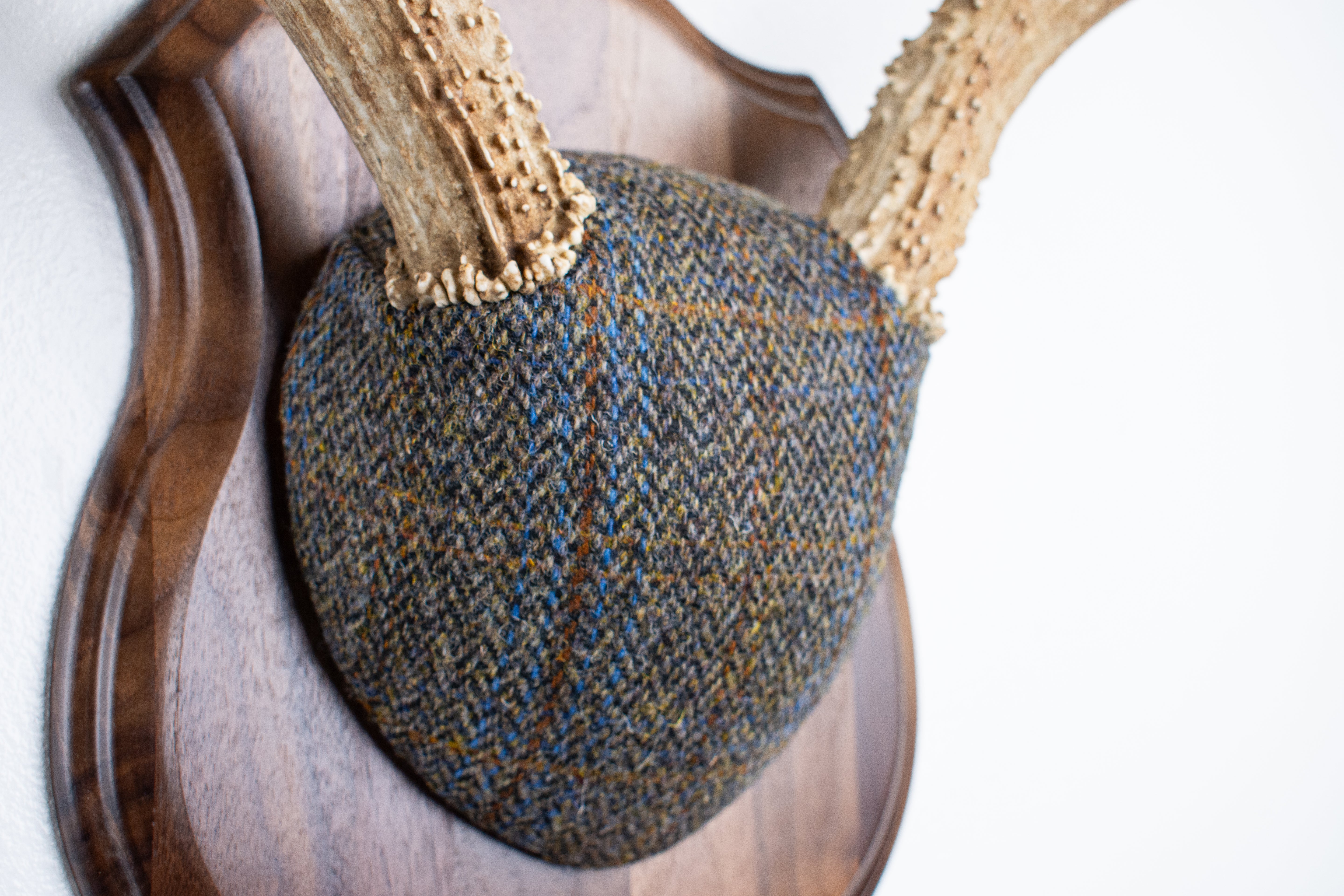 Mule Deer Antler Mount | Green and Blue Herringbone with Rust Overcheck | 50