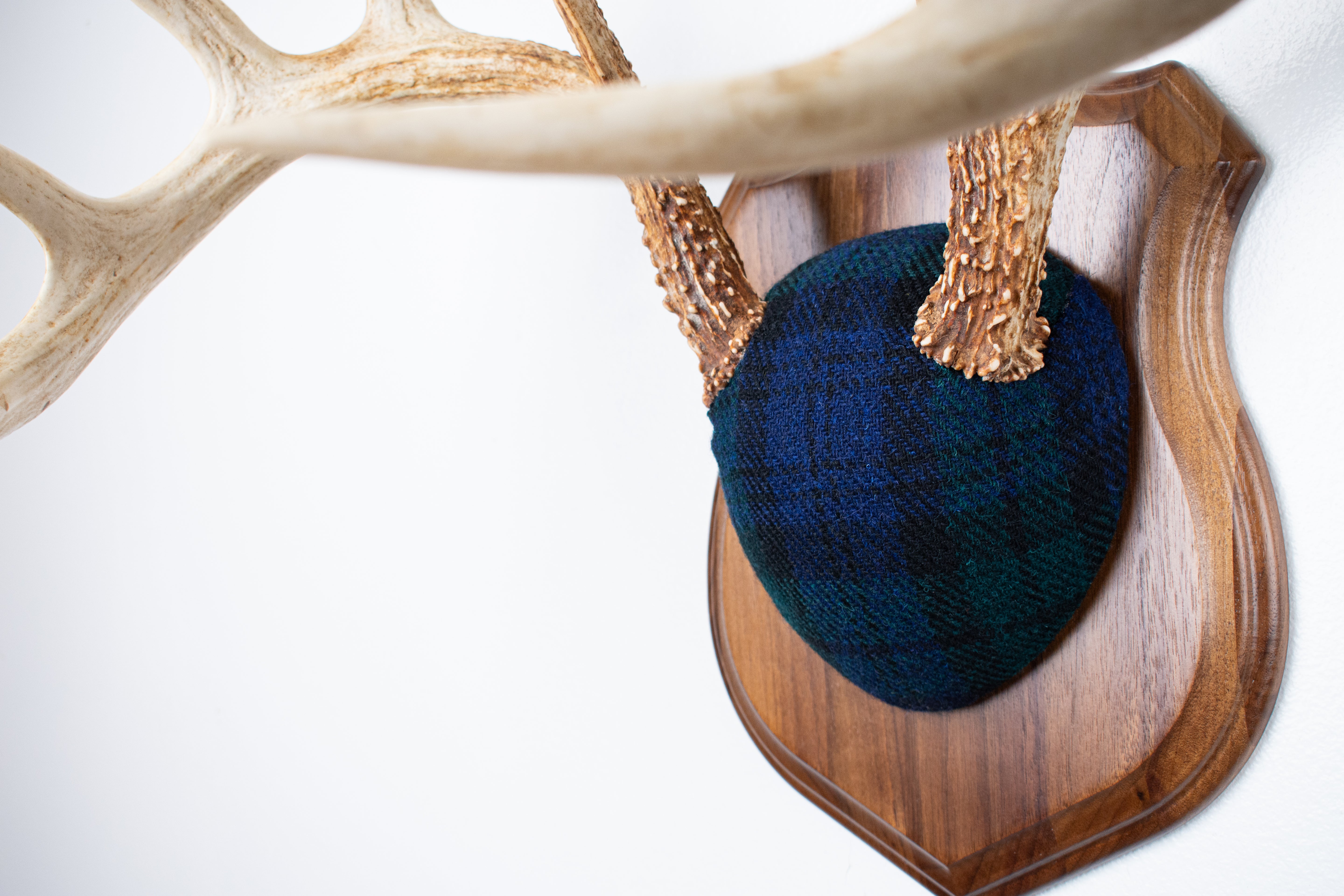 Whitetail Deer Antler Mount | Black Watch Tartan | 09