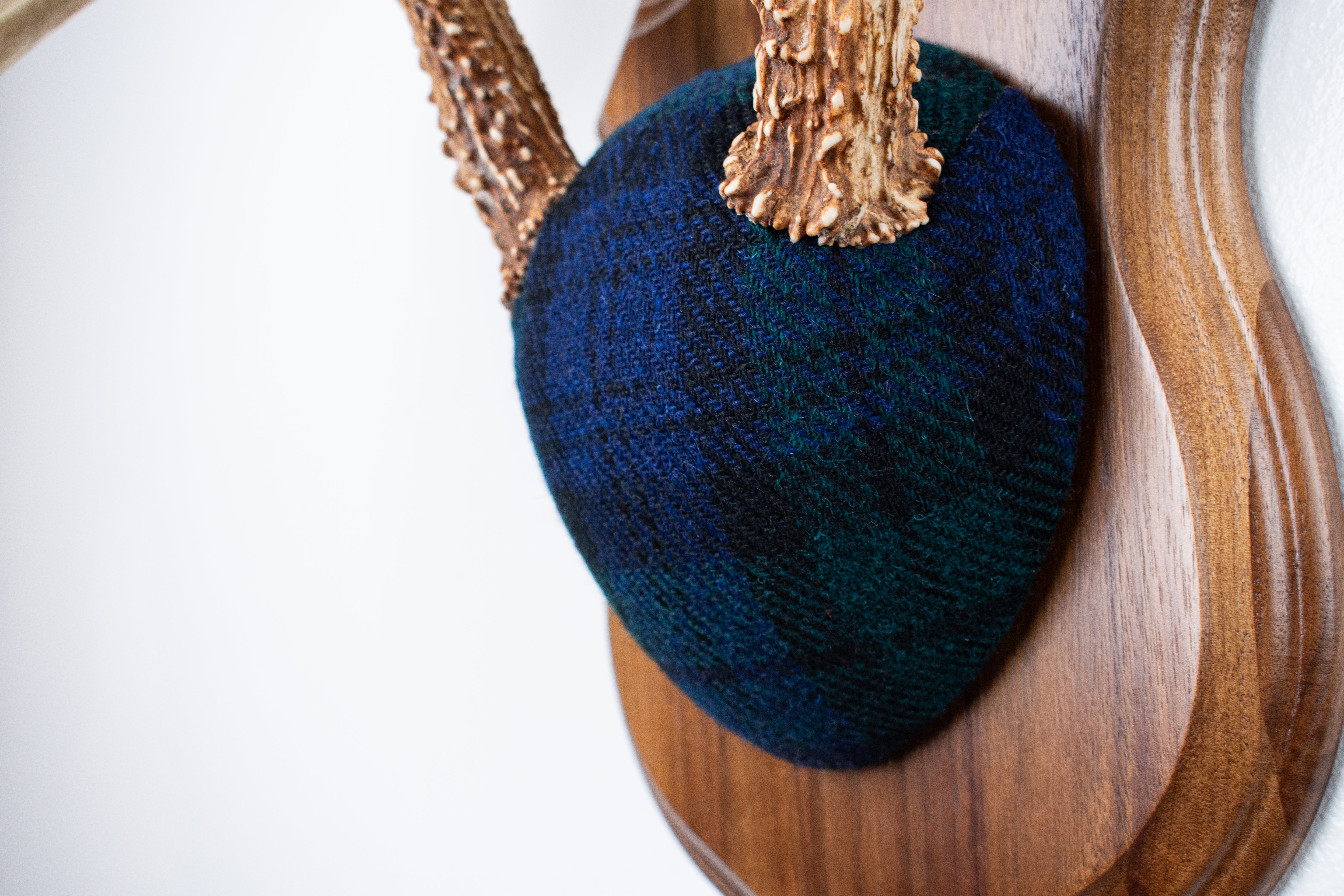 Whitetail Deer Antler Mount | Black Watch Tartan | 09