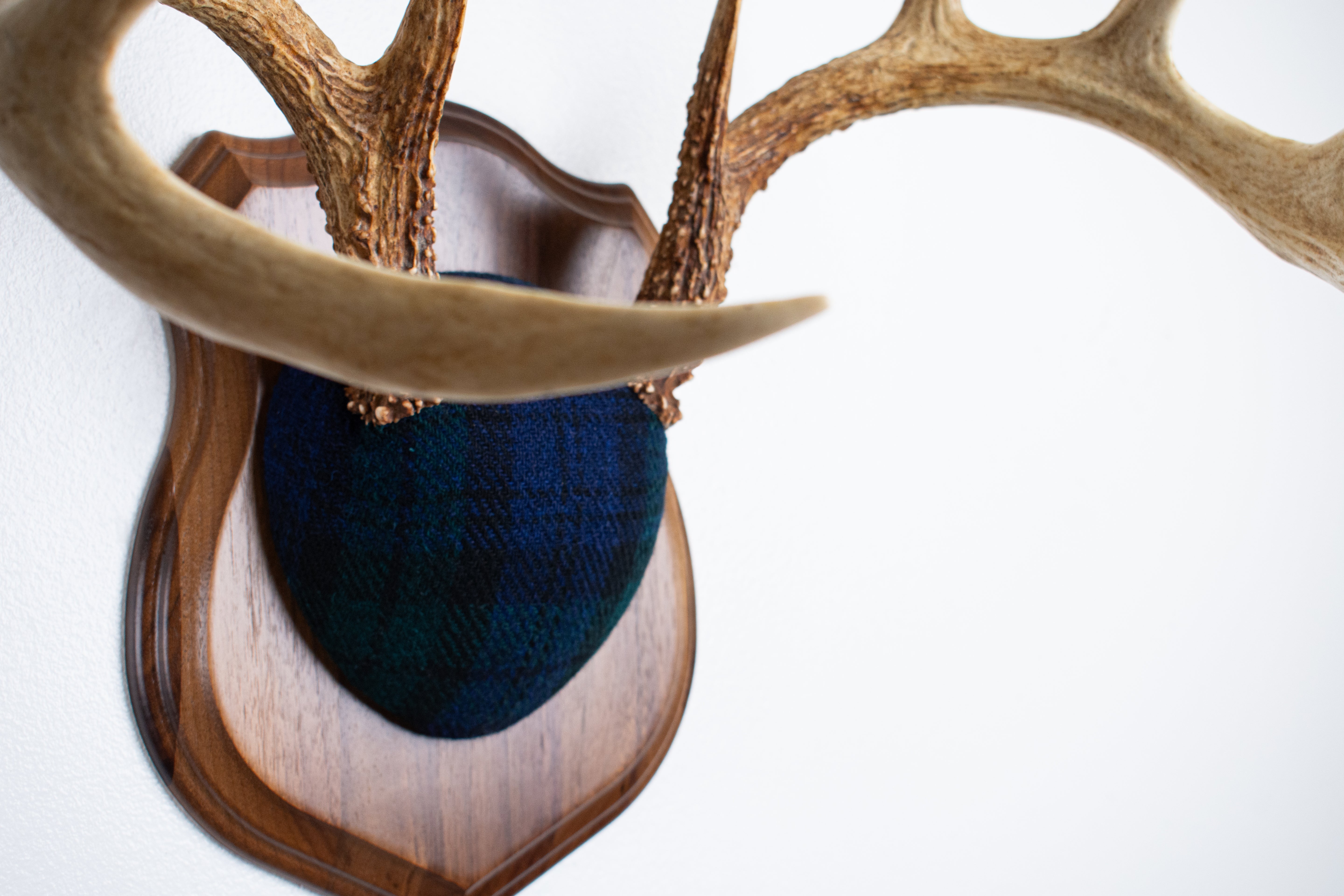 Whitetail Deer Antler Mount | Black Watch Tartan | 09