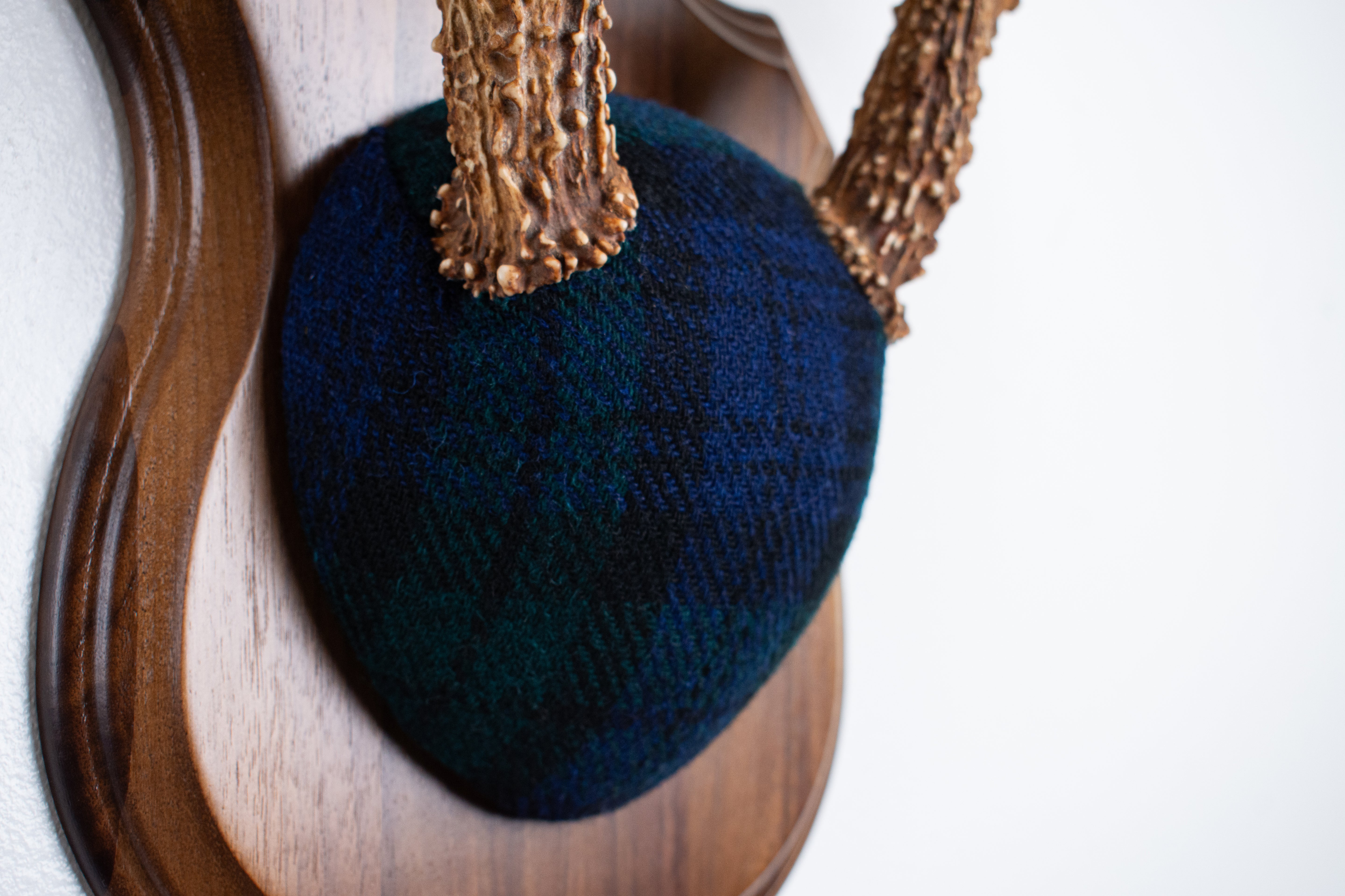 Whitetail Deer Antler Mount | Black Watch Tartan | 09