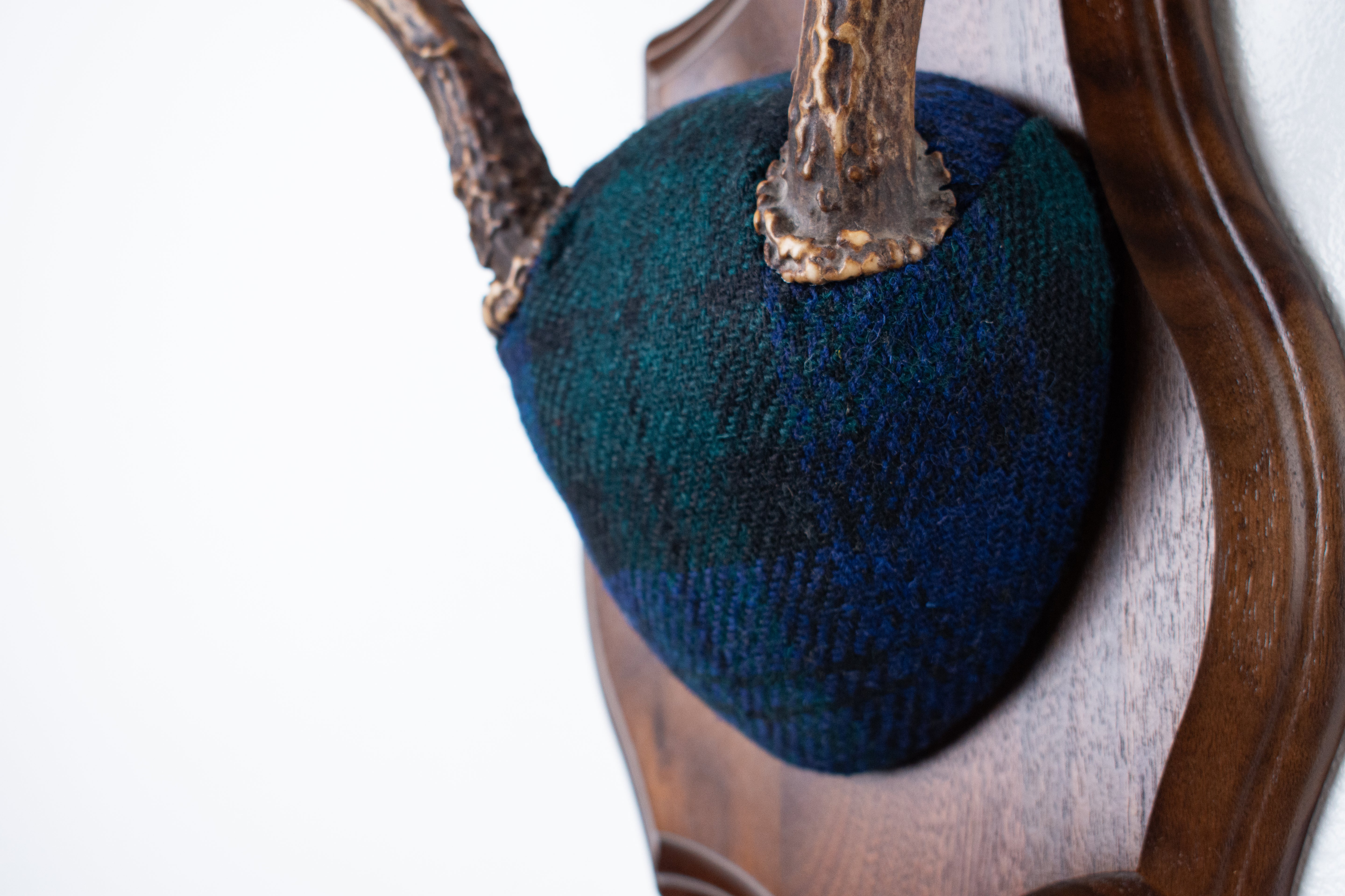 Blacktail Deer Antler Mount | Black Watch Tartan | 52