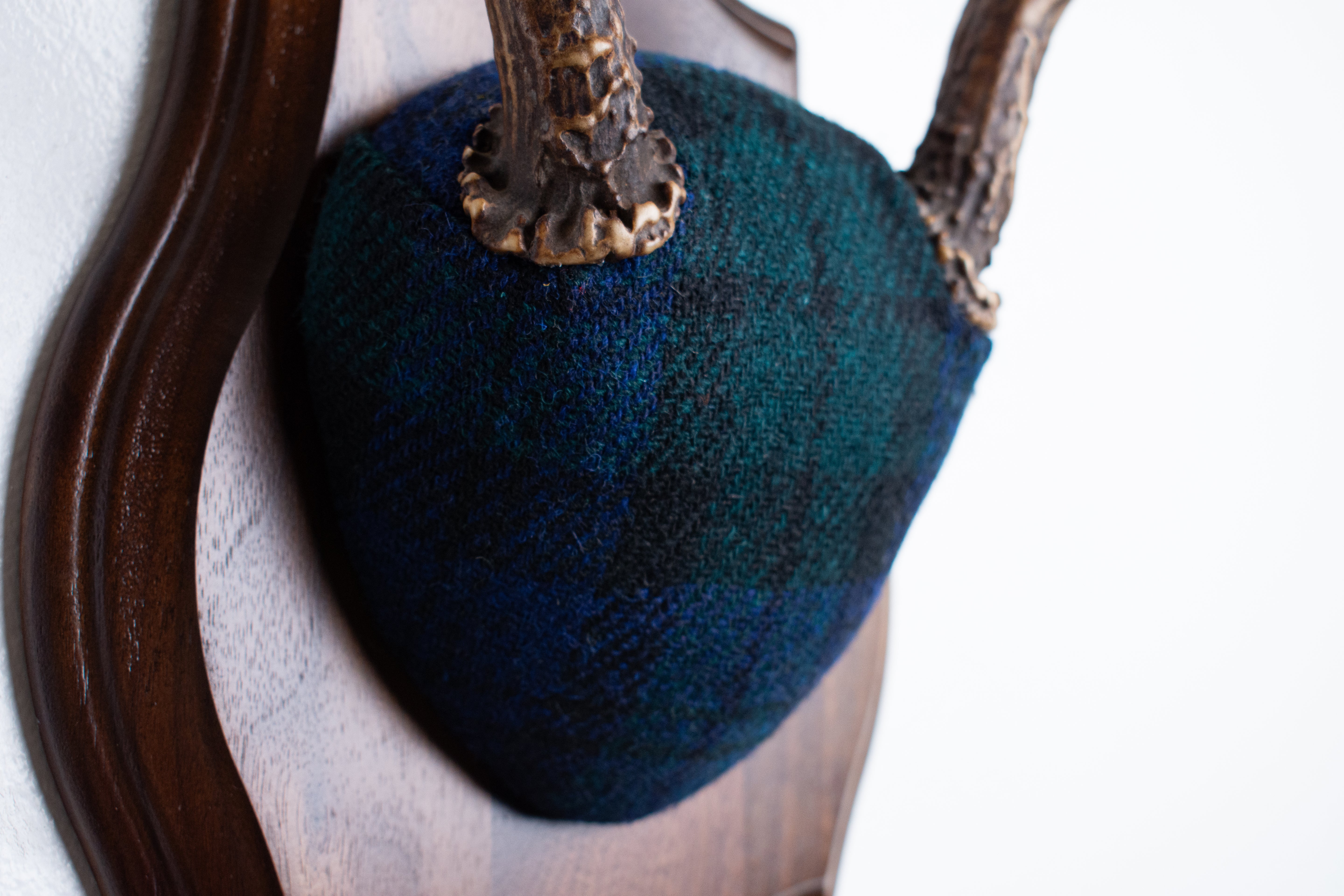 Blacktail Deer Antler Mount | Black Watch Tartan | 52