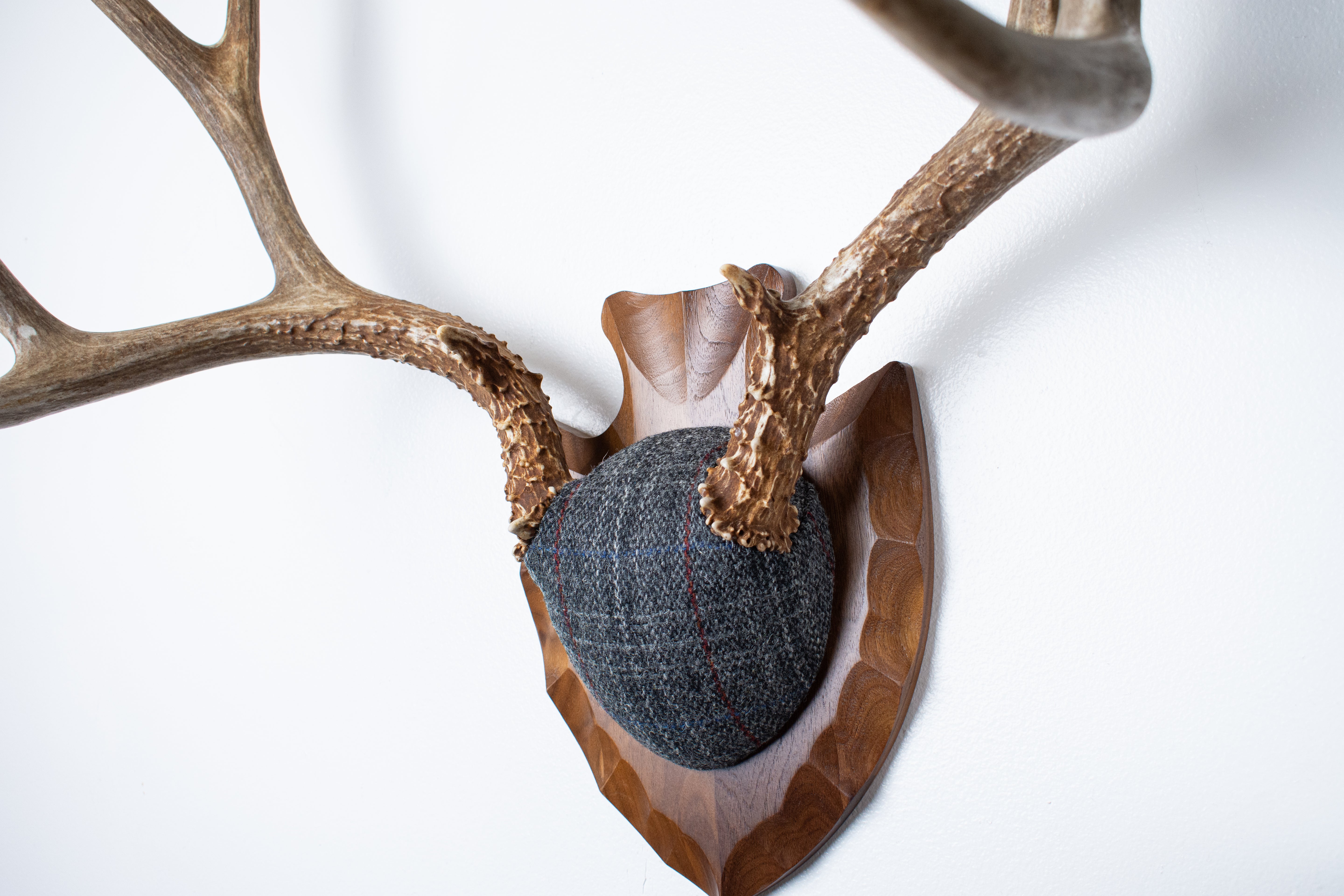 Mule Deer Antler Mount | Grey with Red Overcheck | 57
