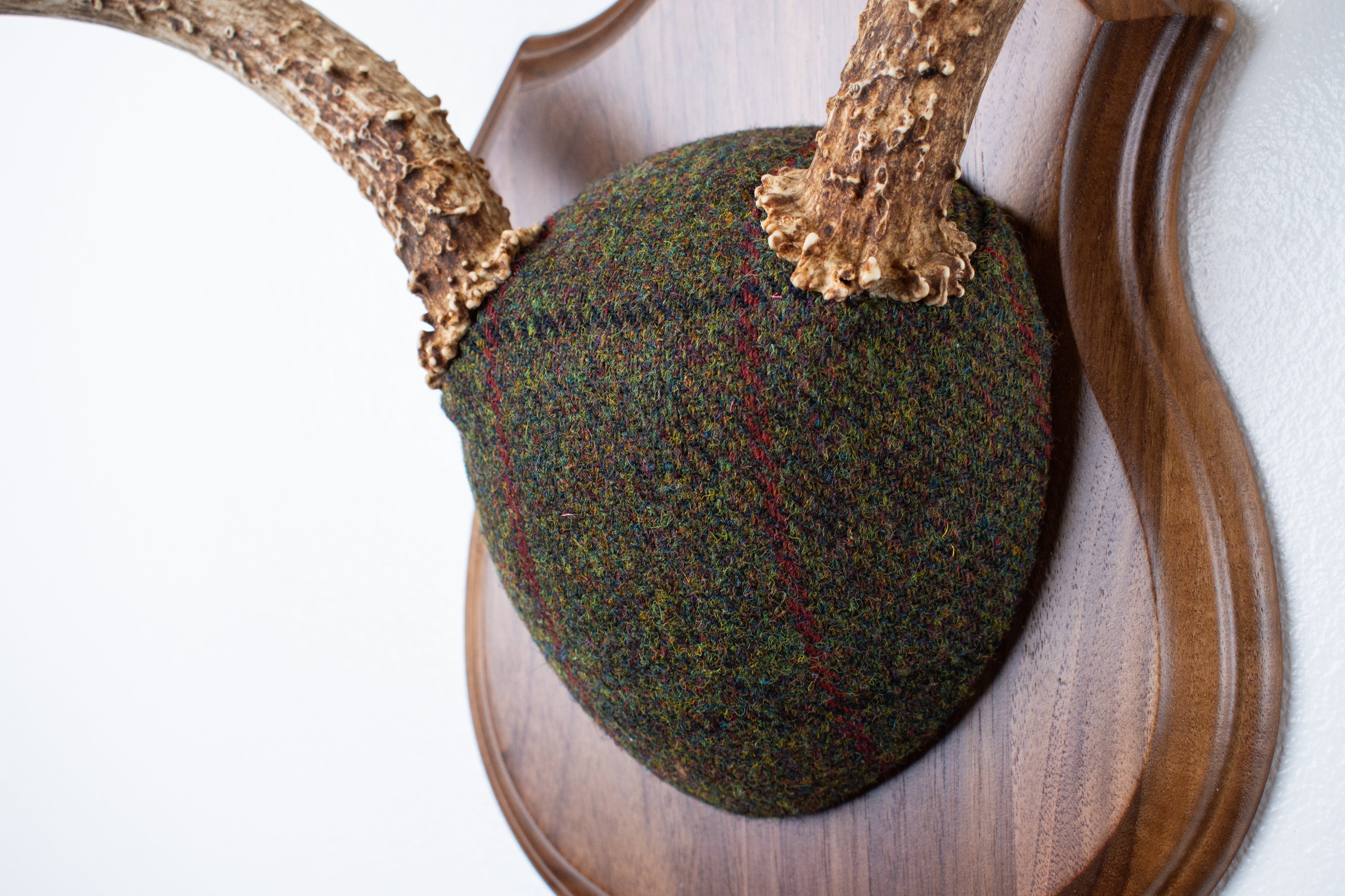 Mule Deer Antler Mount | Green mix with Black and Red Overcheck | 58