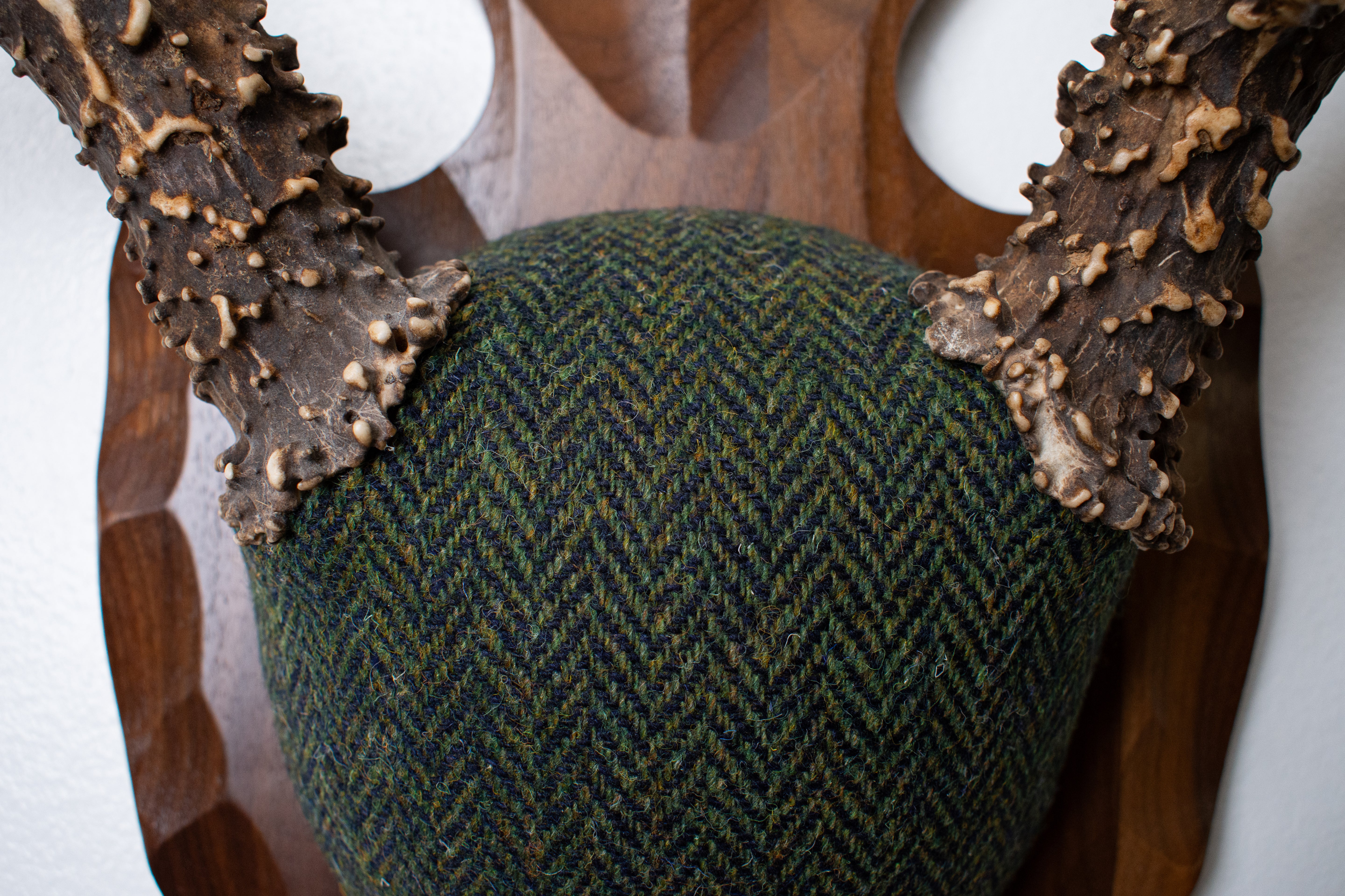 Blacktail Deer Antler Mount | Green & Black Herringbone | 60