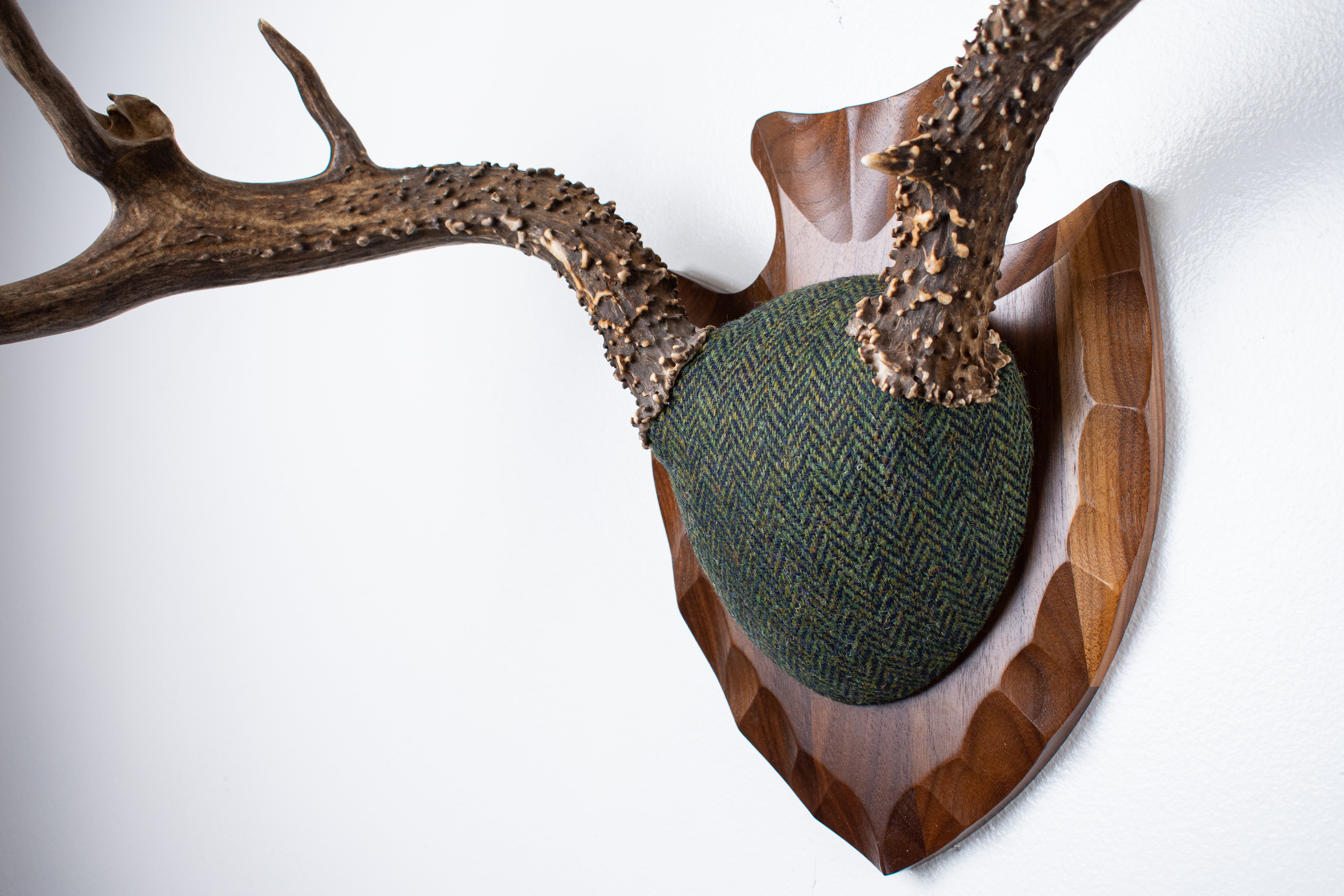Blacktail Deer Antler Mount | Green & Black Herringbone | 60