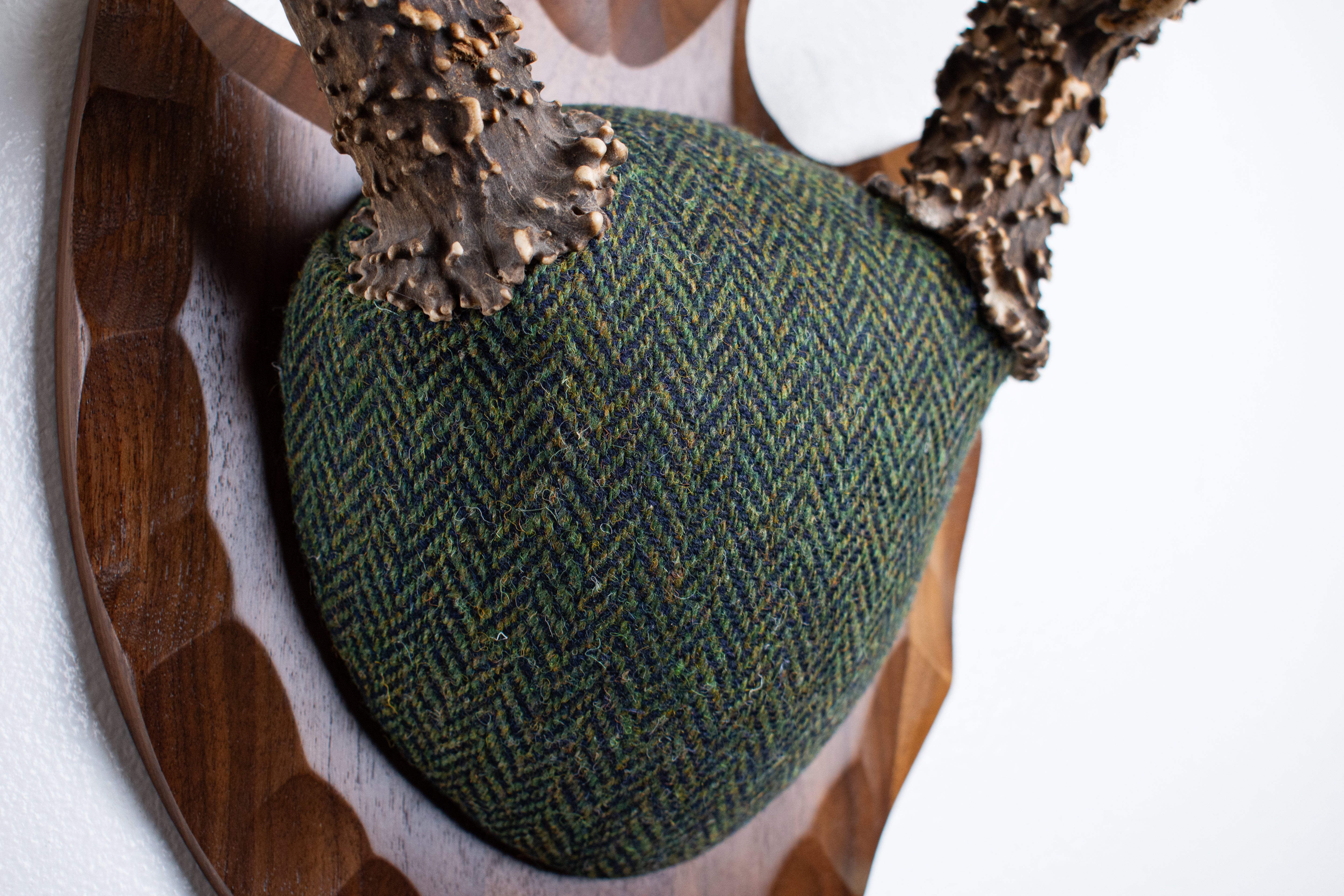 Blacktail Deer Antler Mount | Green & Black Herringbone | 60