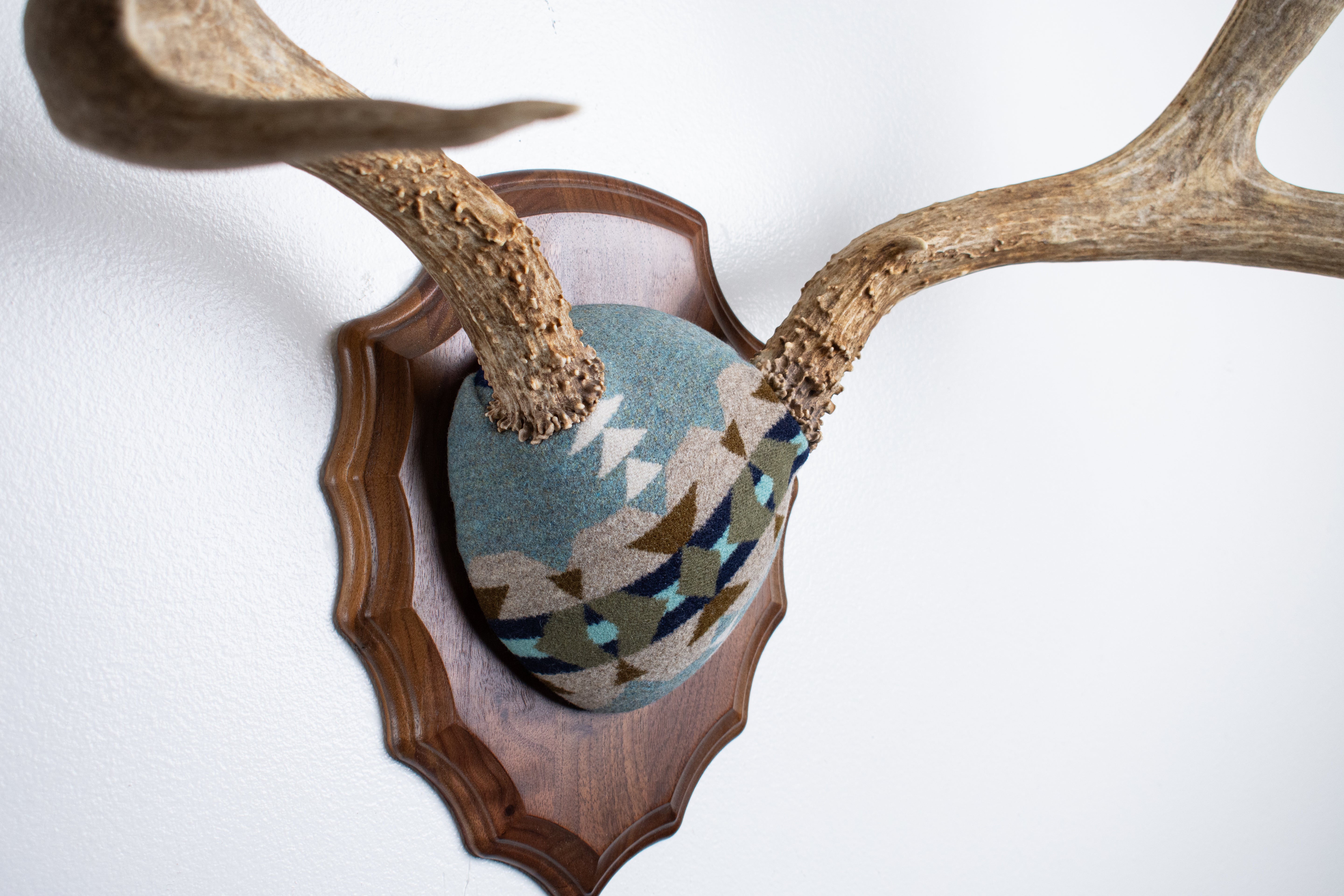 Mule Deer Antler Mount | Stone | 19