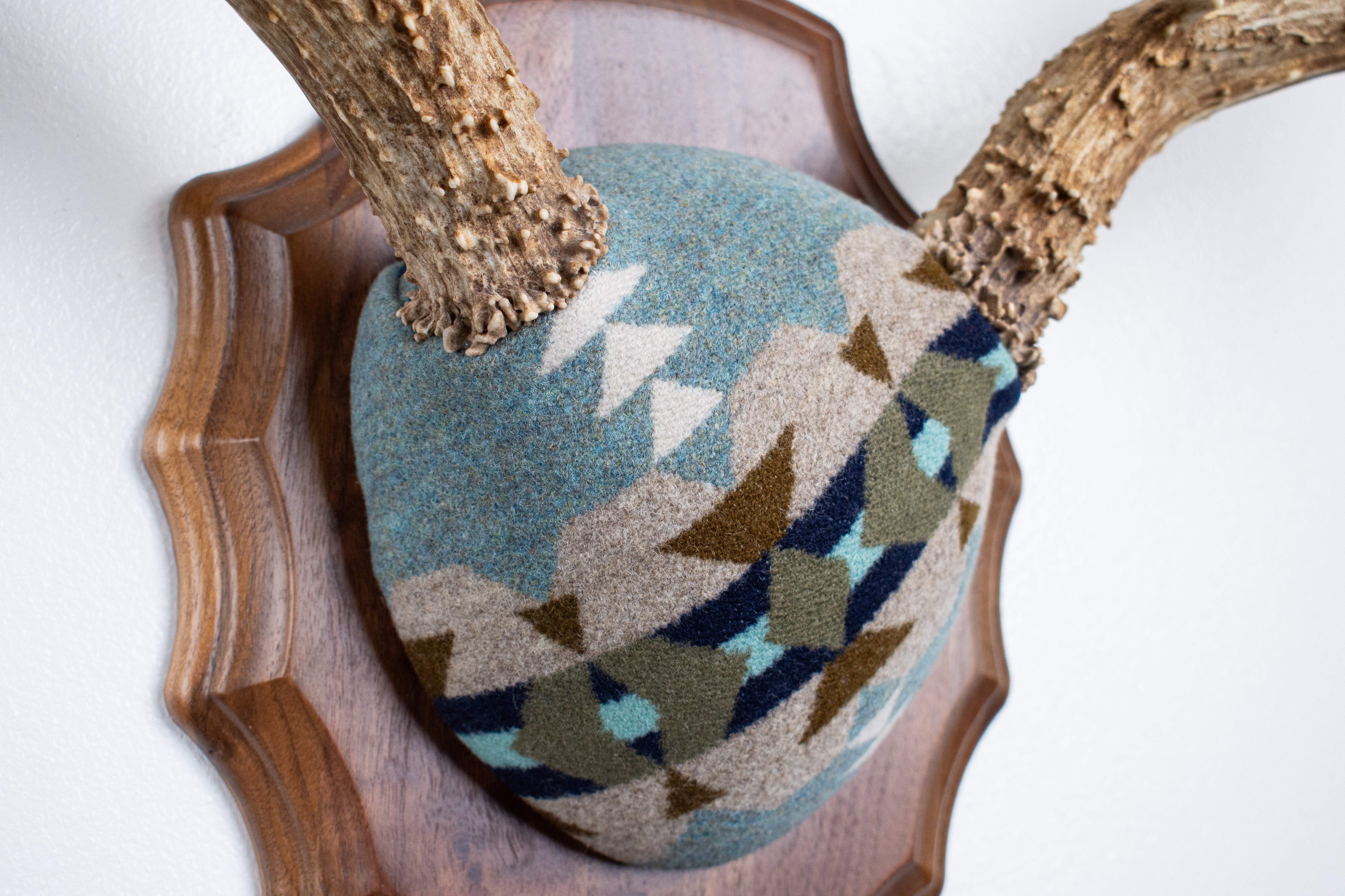 Mule Deer Antler Mount | Stone | 19