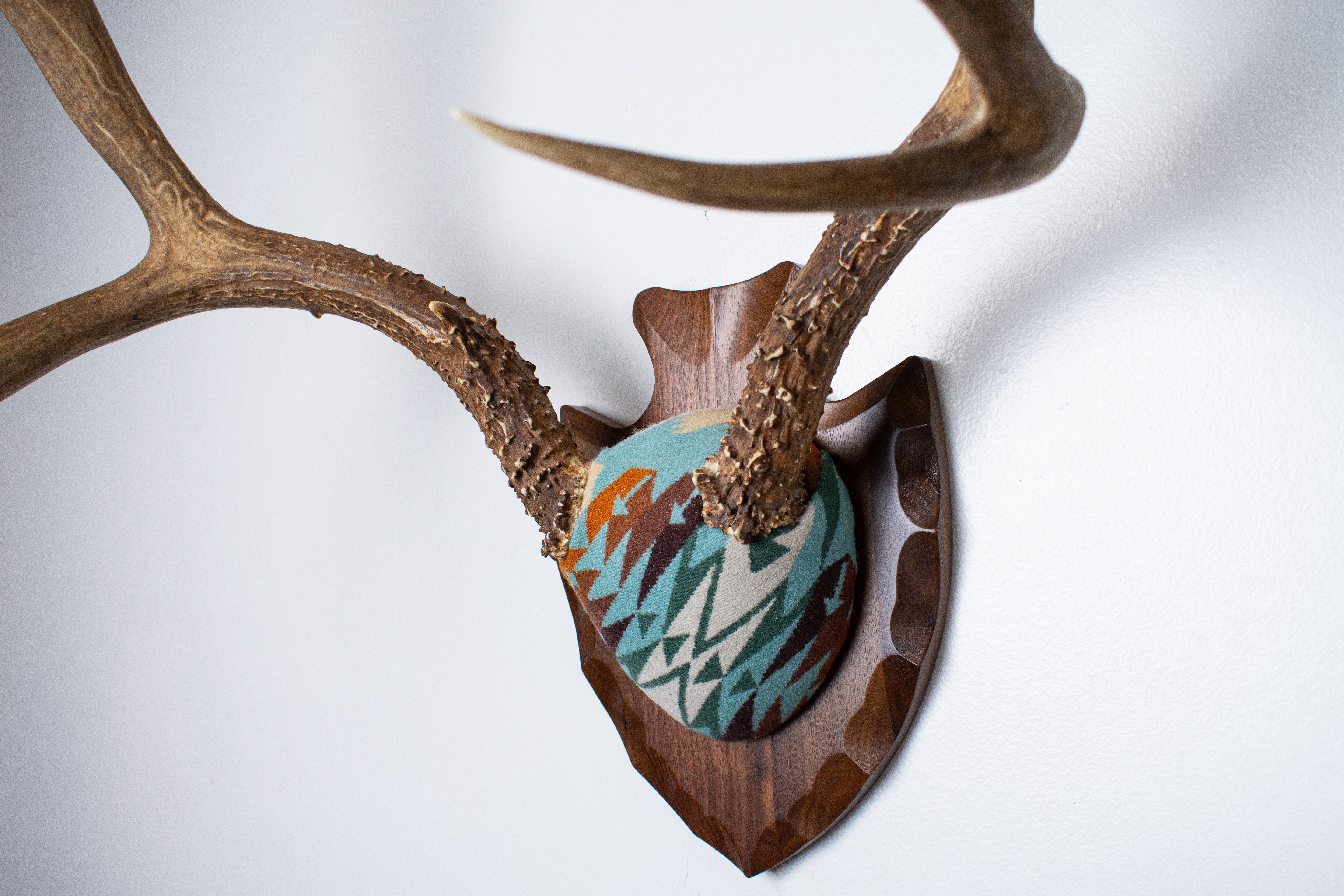 Mule Deer Antler Mount | Juniper | 21