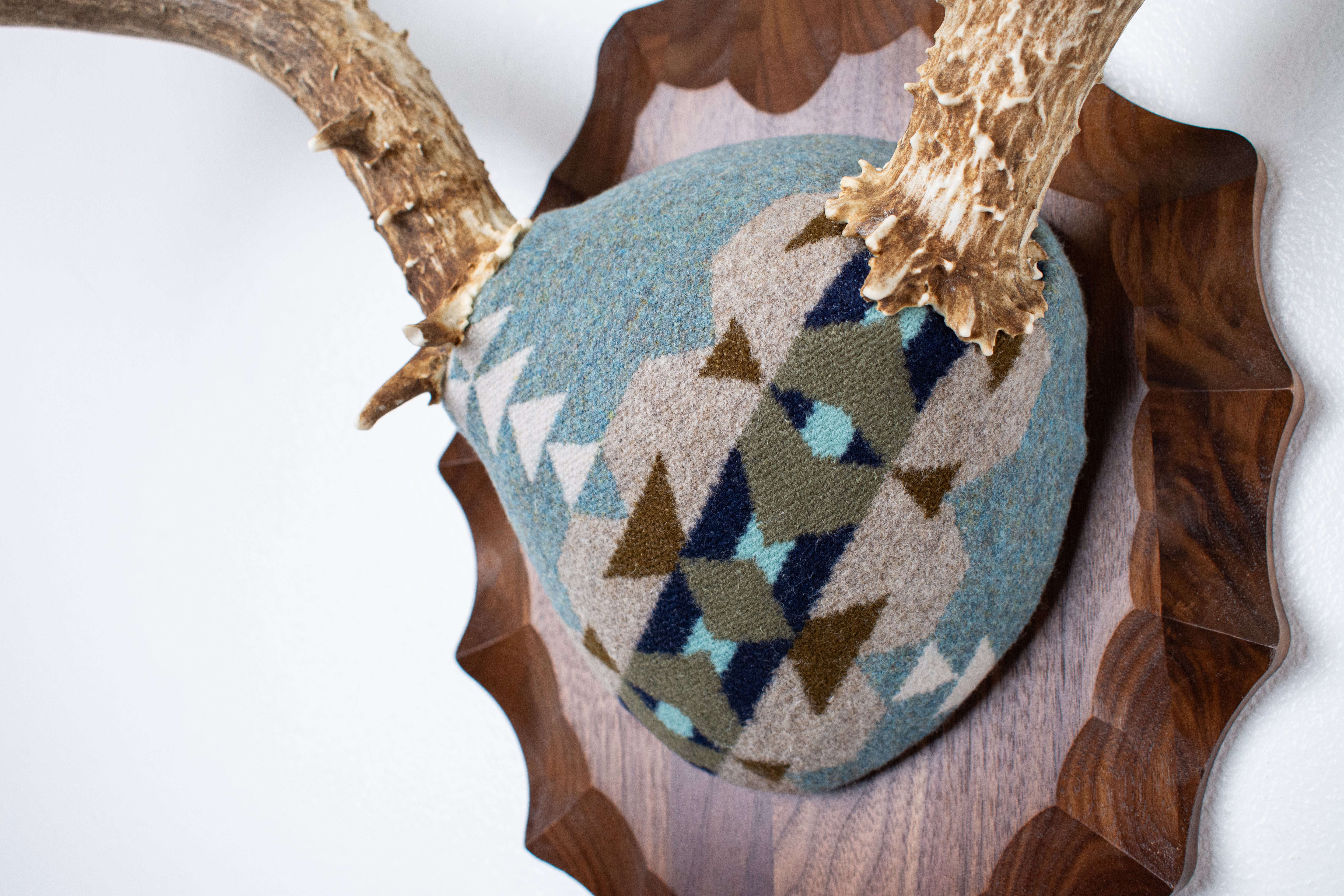 Mule Deer Antler Mount | Stone | 20