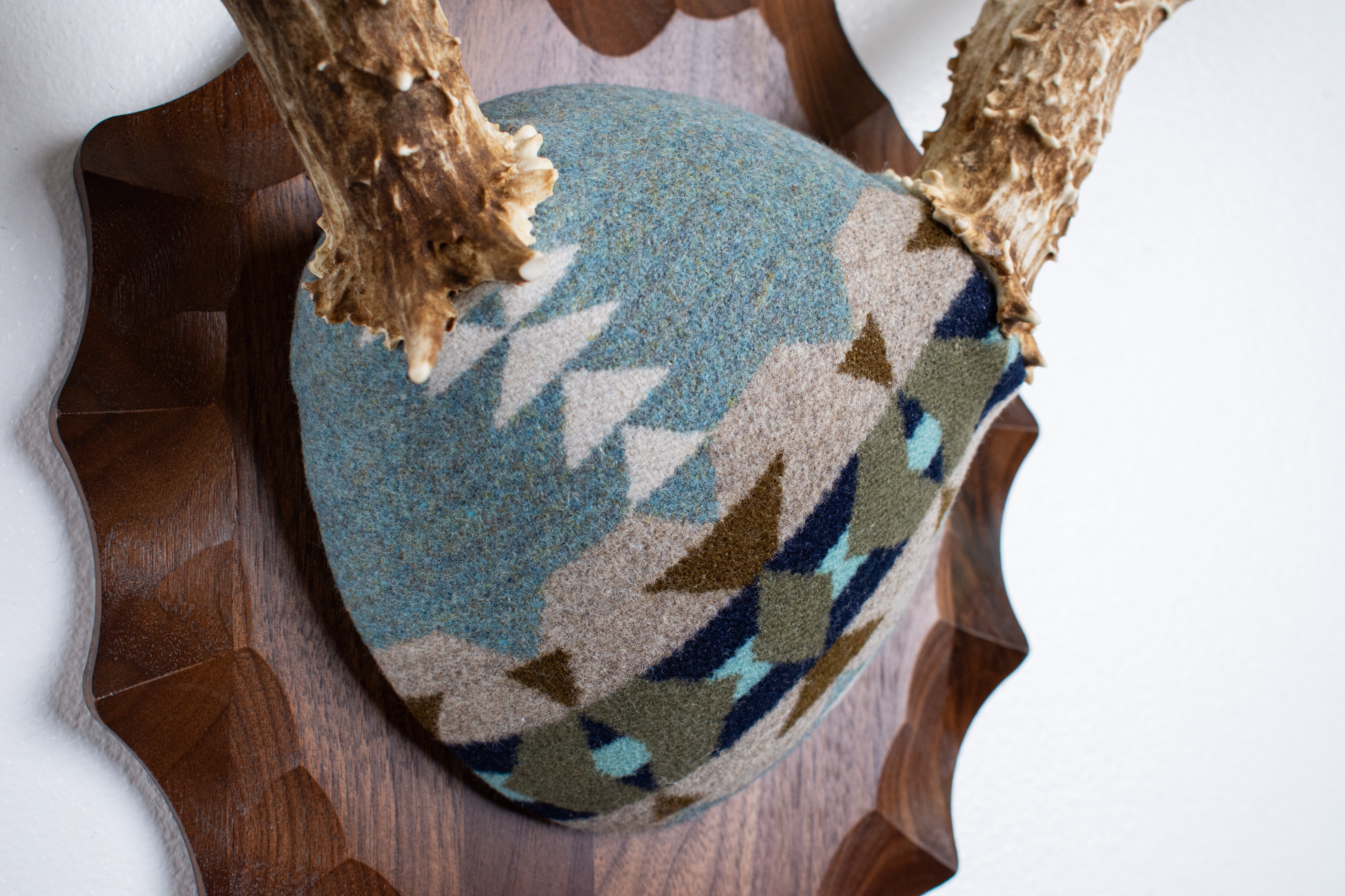Mule Deer Antler Mount | Stone | 20