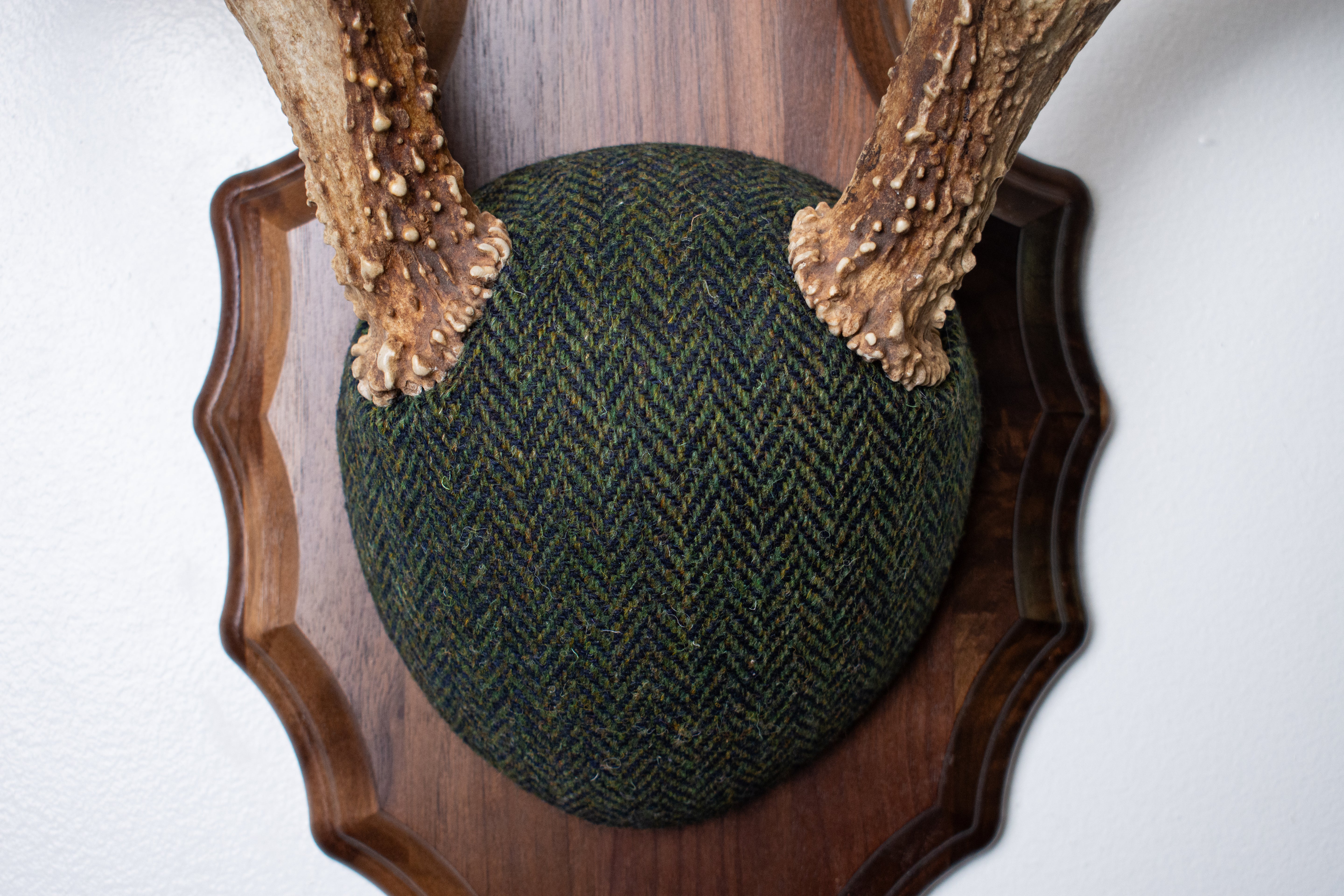 Whitetail Deer Antler Mount | Green & Black Herringbone | 61