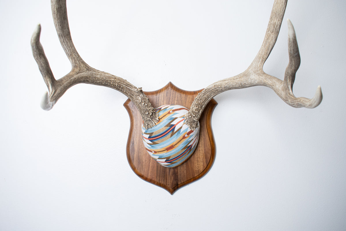 Mule Deer Antler Mount | Sunset | 22