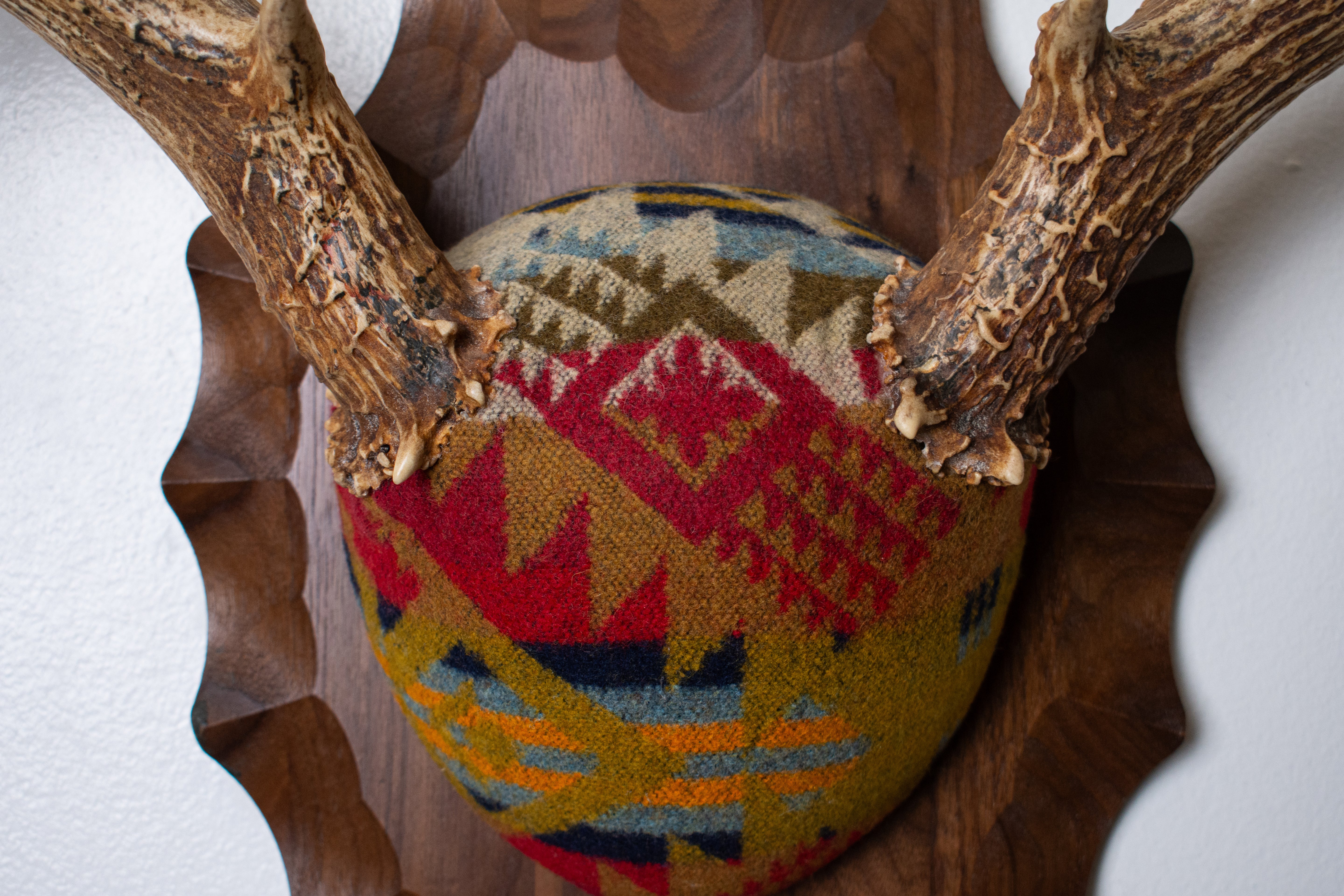 Mule Deer Antler Mount | Canyon | 23
