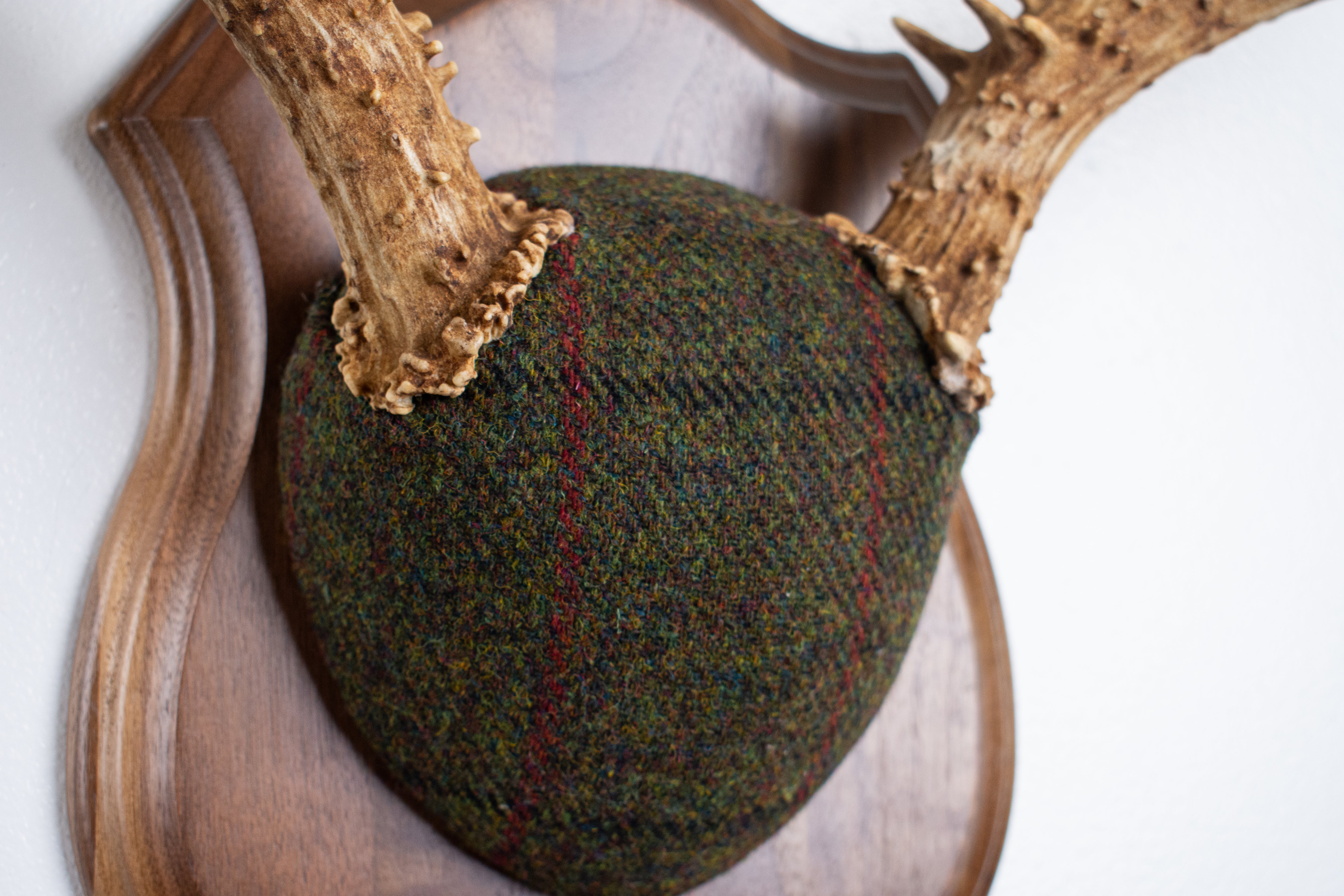 Mule Deer Antler Mount | Green mix with Black and Red Overcheck | 64