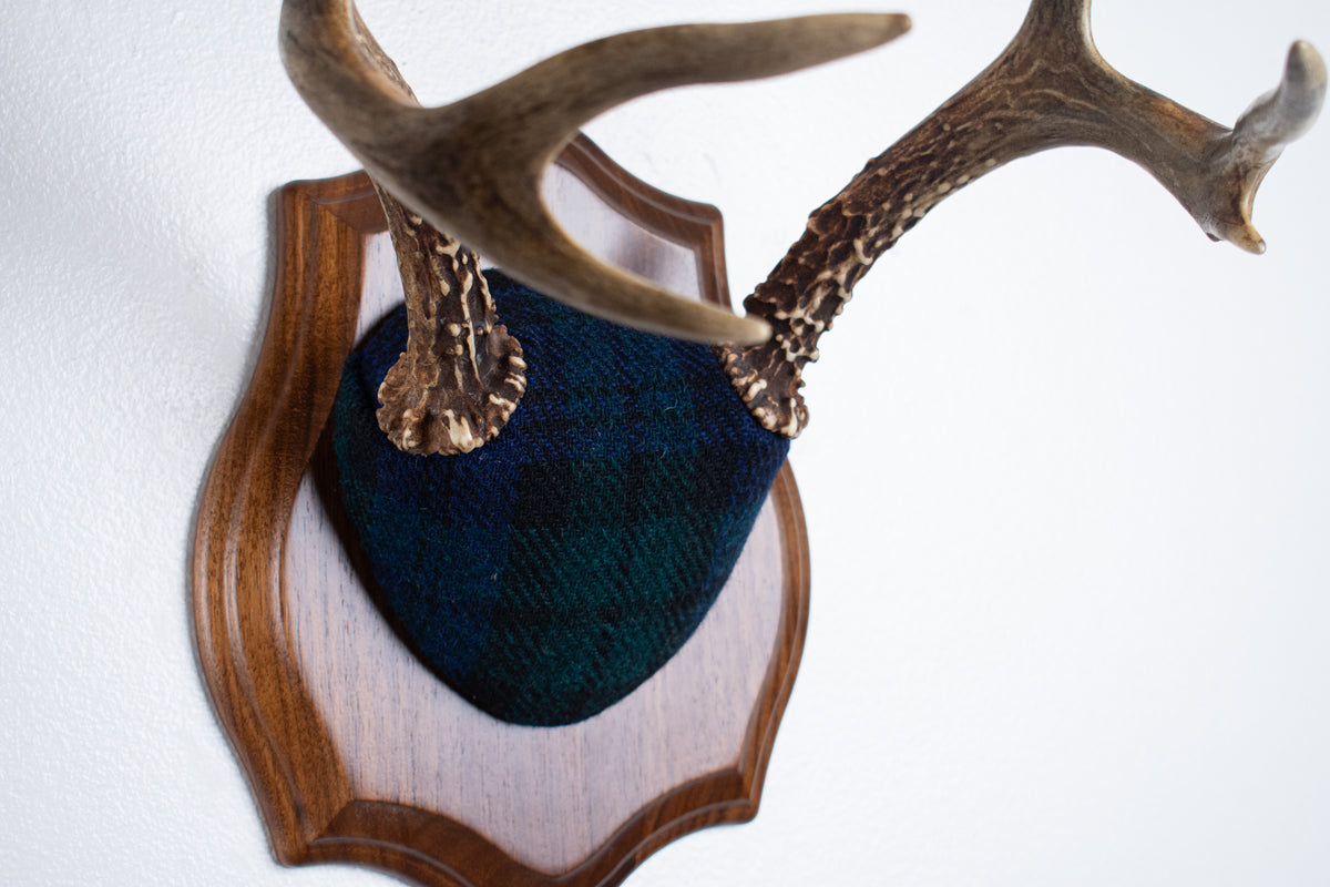 Blacktail Deer Antler Mount | Black Watch Tartan | 65