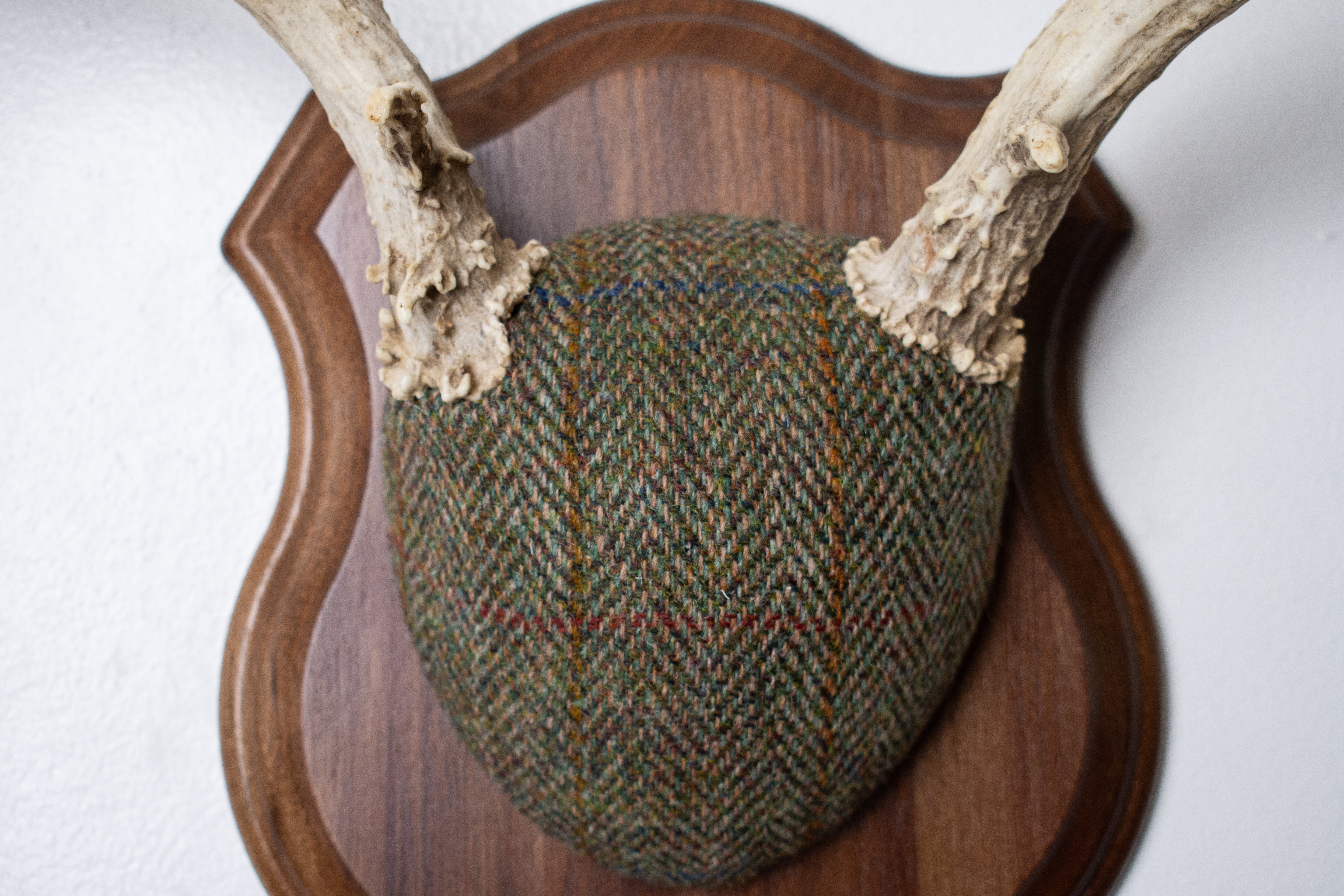 Mule Deer Antler Mount | Green Herringbone Tweed | 66