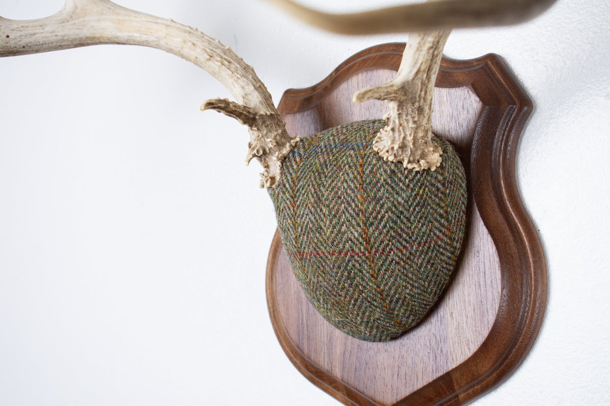 Mule Deer Antler Mount | Green Herringbone Tweed | 66