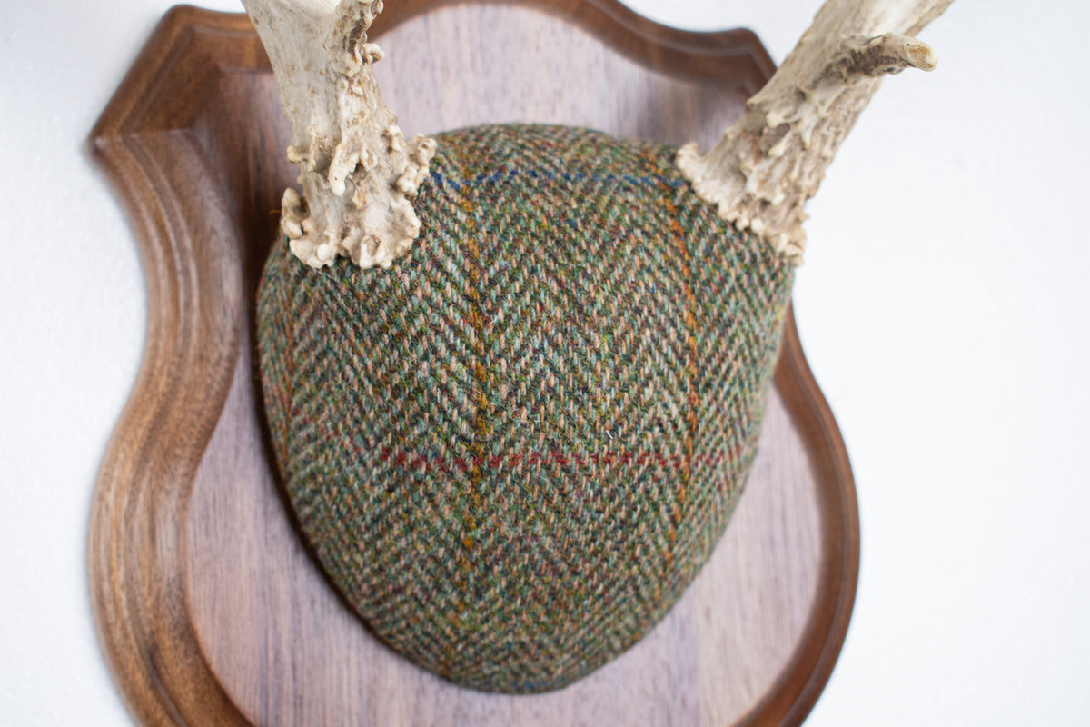 Mule Deer Antler Mount | Green Herringbone Tweed | 66