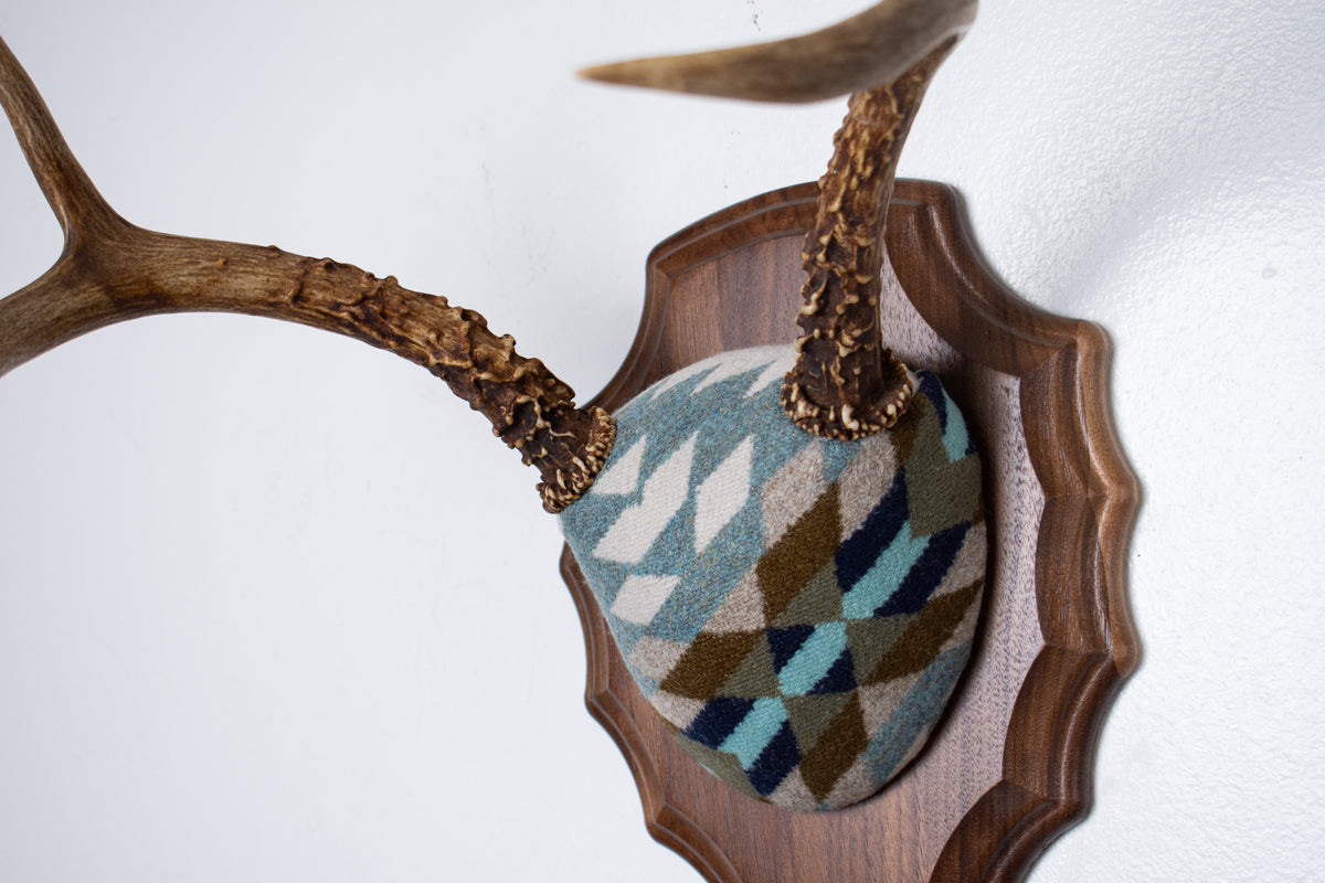 Mule Deer Antler Mount | Glacier | 24
