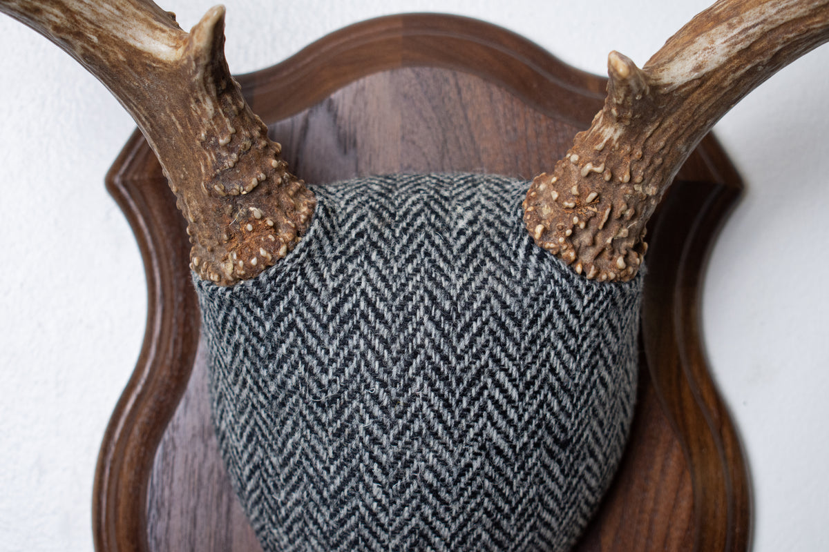 Mule Deer Antler Mount | Grey & Black Herringbone | 10