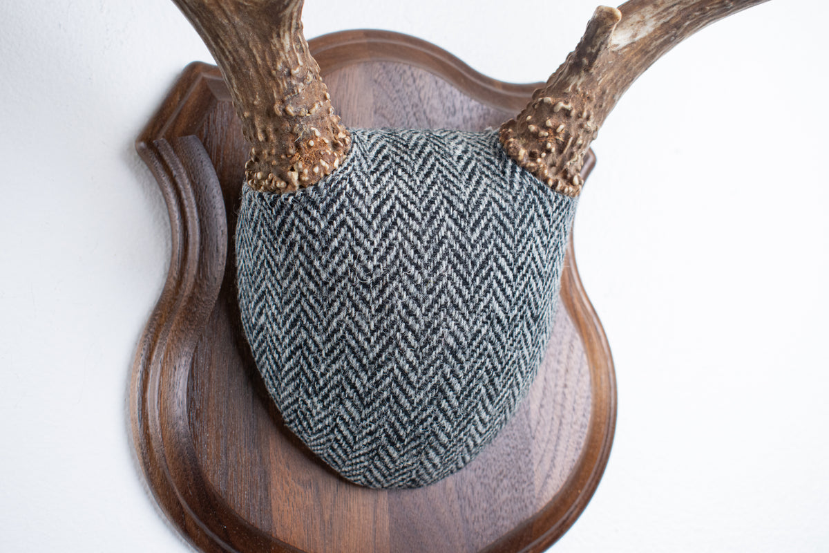 Mule Deer Antler Mount | Grey & Black Herringbone | 10