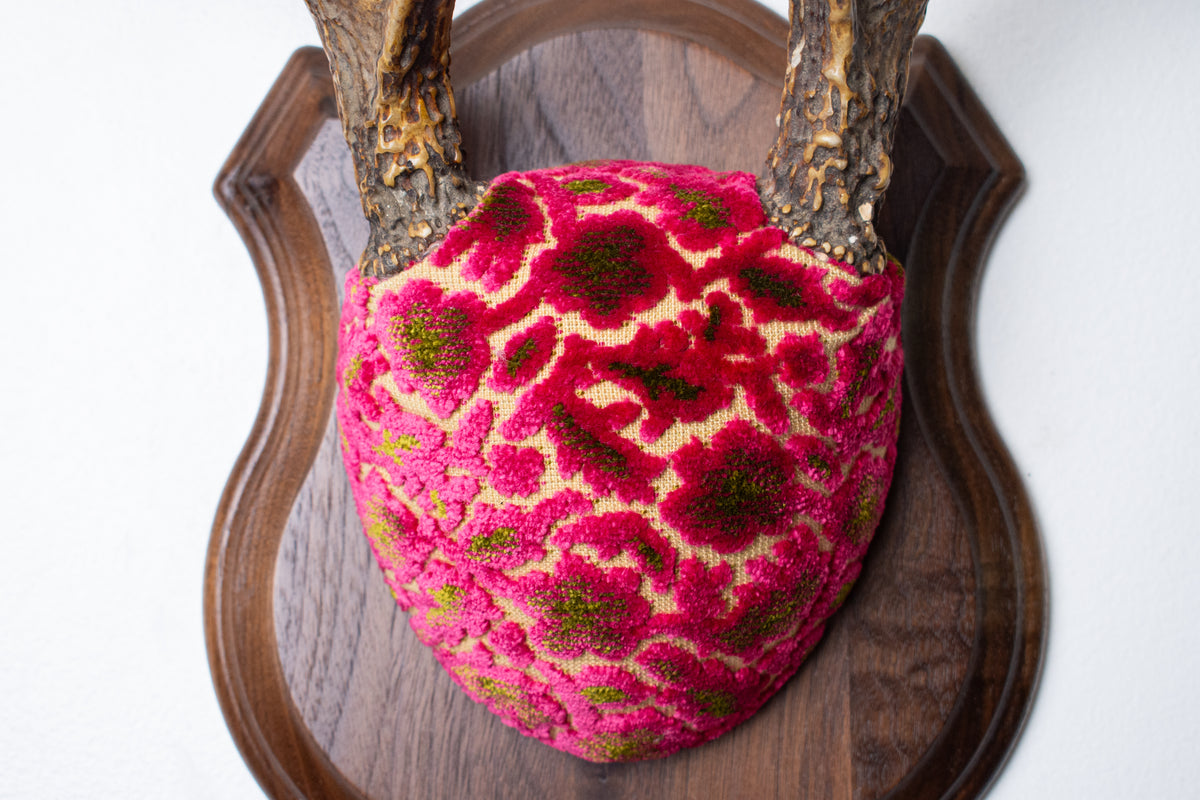 Whitetail Deer Antler Mount | Magenta & Olive | 08
