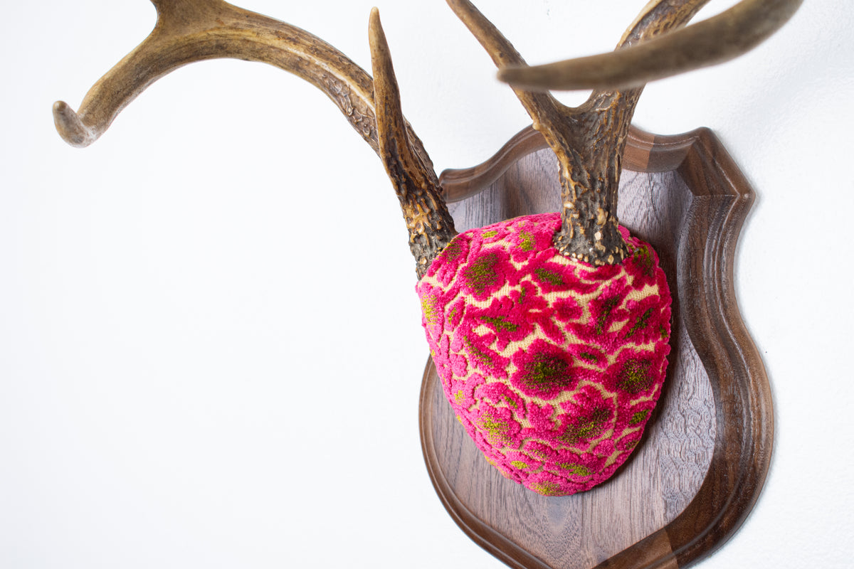 Whitetail Deer Antler Mount | Magenta & Olive | 08