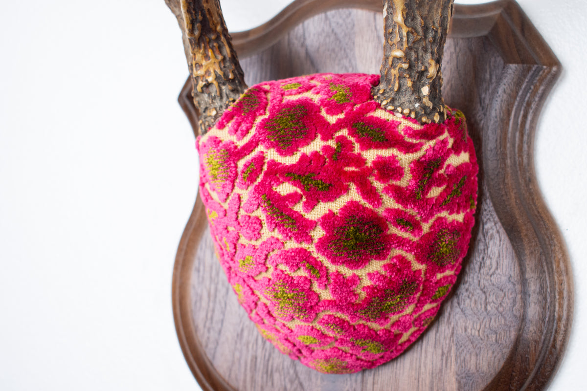 Whitetail Deer Antler Mount | Magenta & Olive | 08