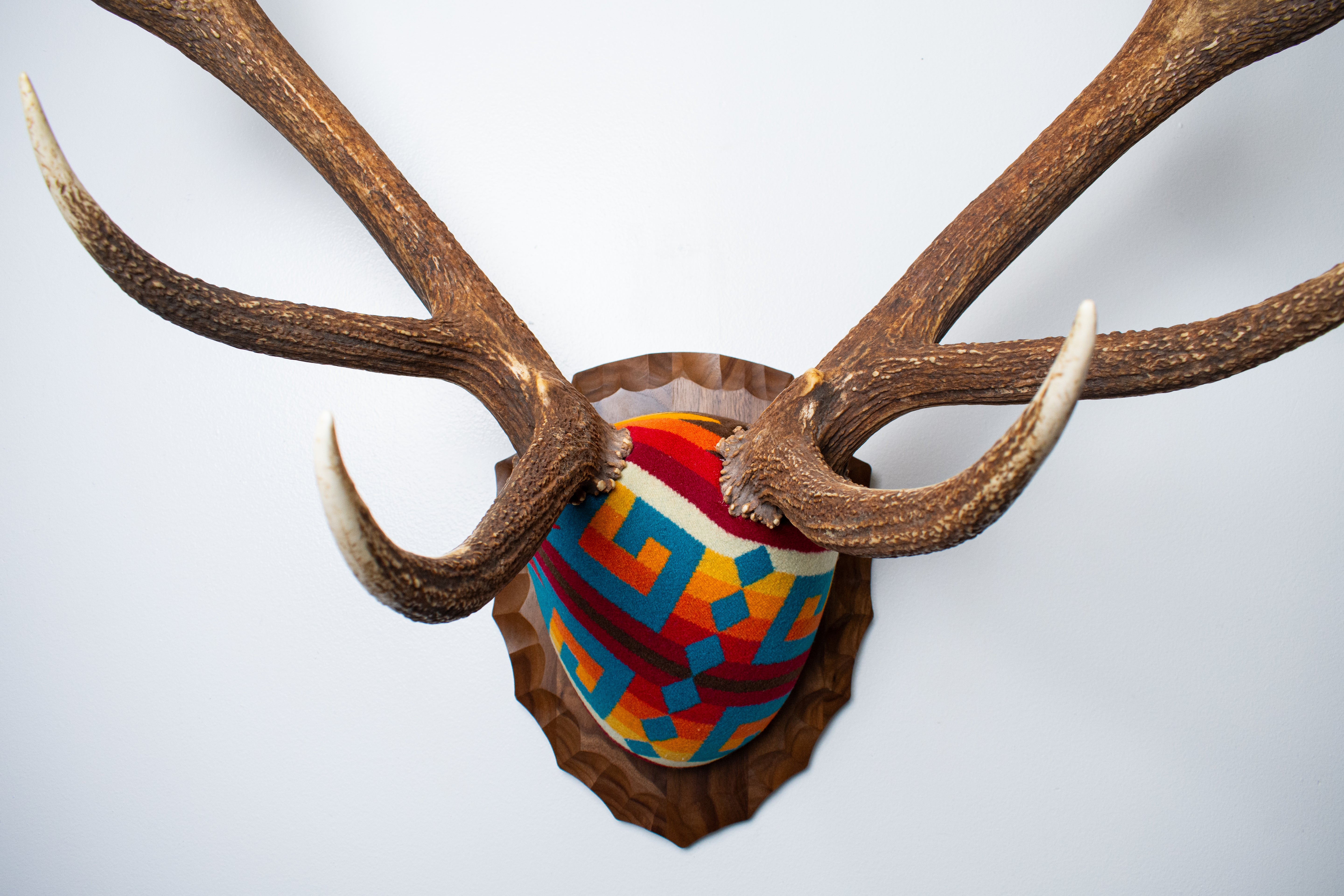 Elk Antler Mount | Sedona | 25