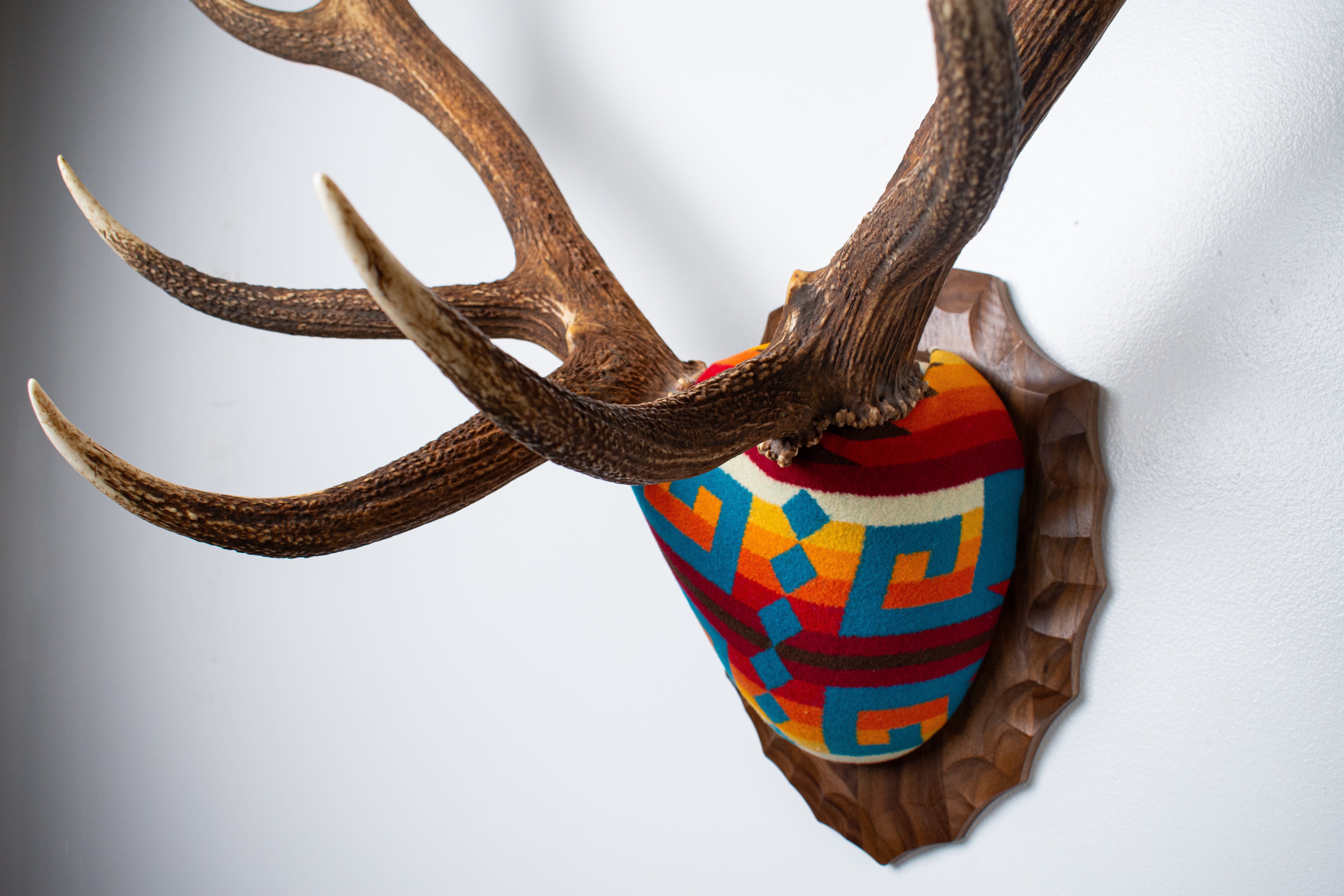 Elk Antler Mount | Sedona | 25