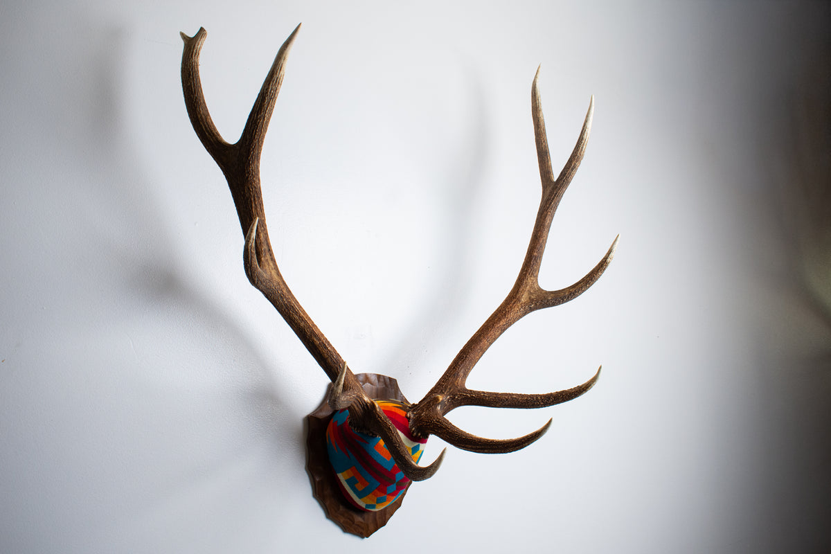 Elk Antler Mount | Sedona | 25
