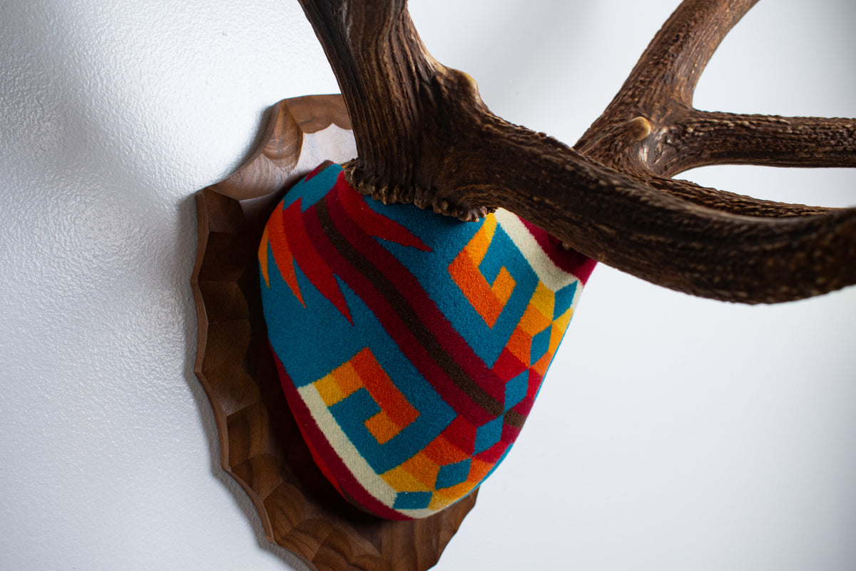 Elk Antler Mount | Sedona | 25